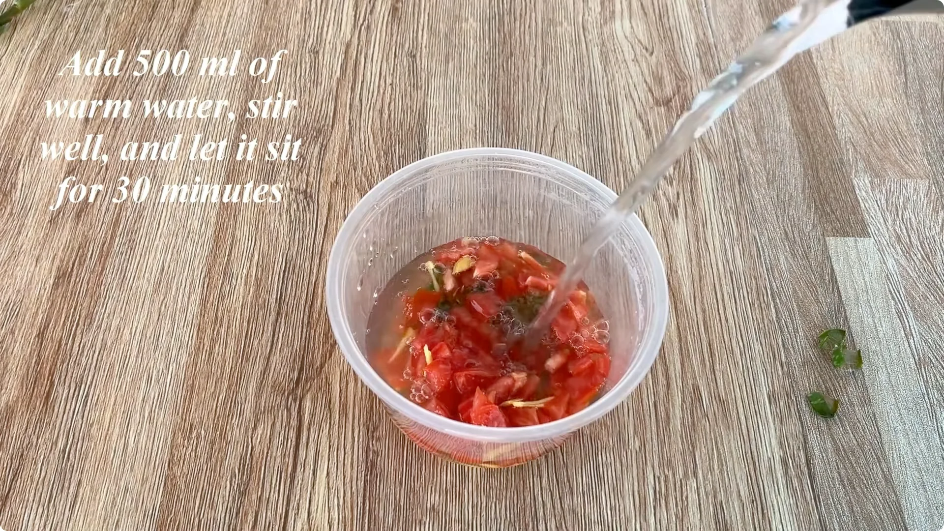 How One Tomato Sparked Rose Cuttings to Root 900% Faster screenshot 4