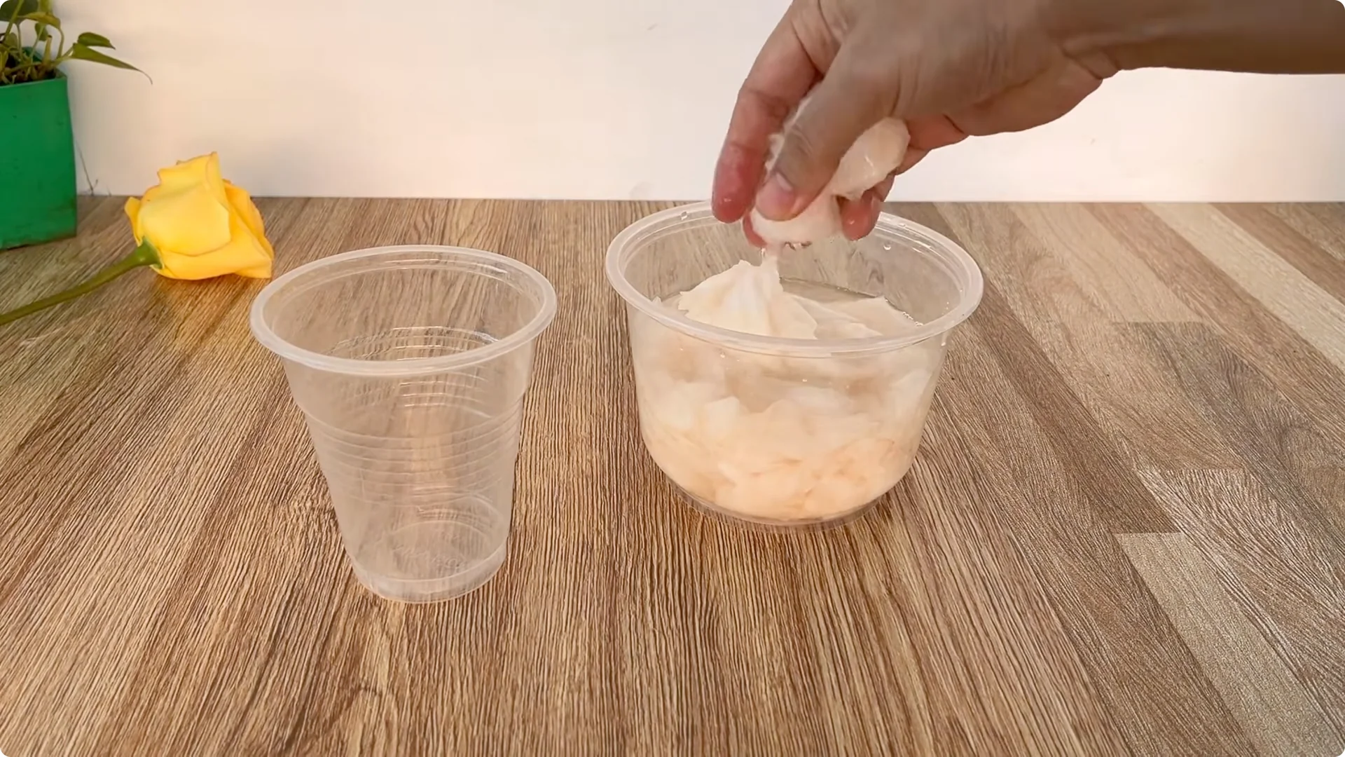 How One Tomato Sparked Rose Cuttings to Root 900% Faster screenshot 6