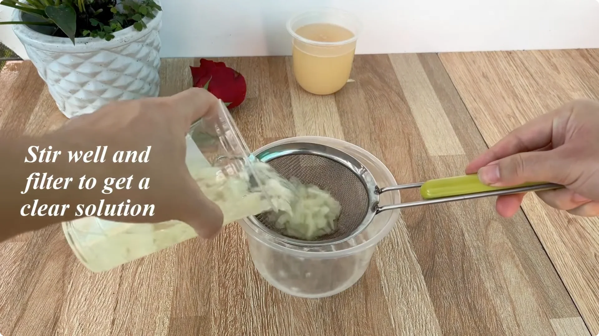 How Onions Help Roses Root Faster: A Simple Propagation Trick screenshot 6