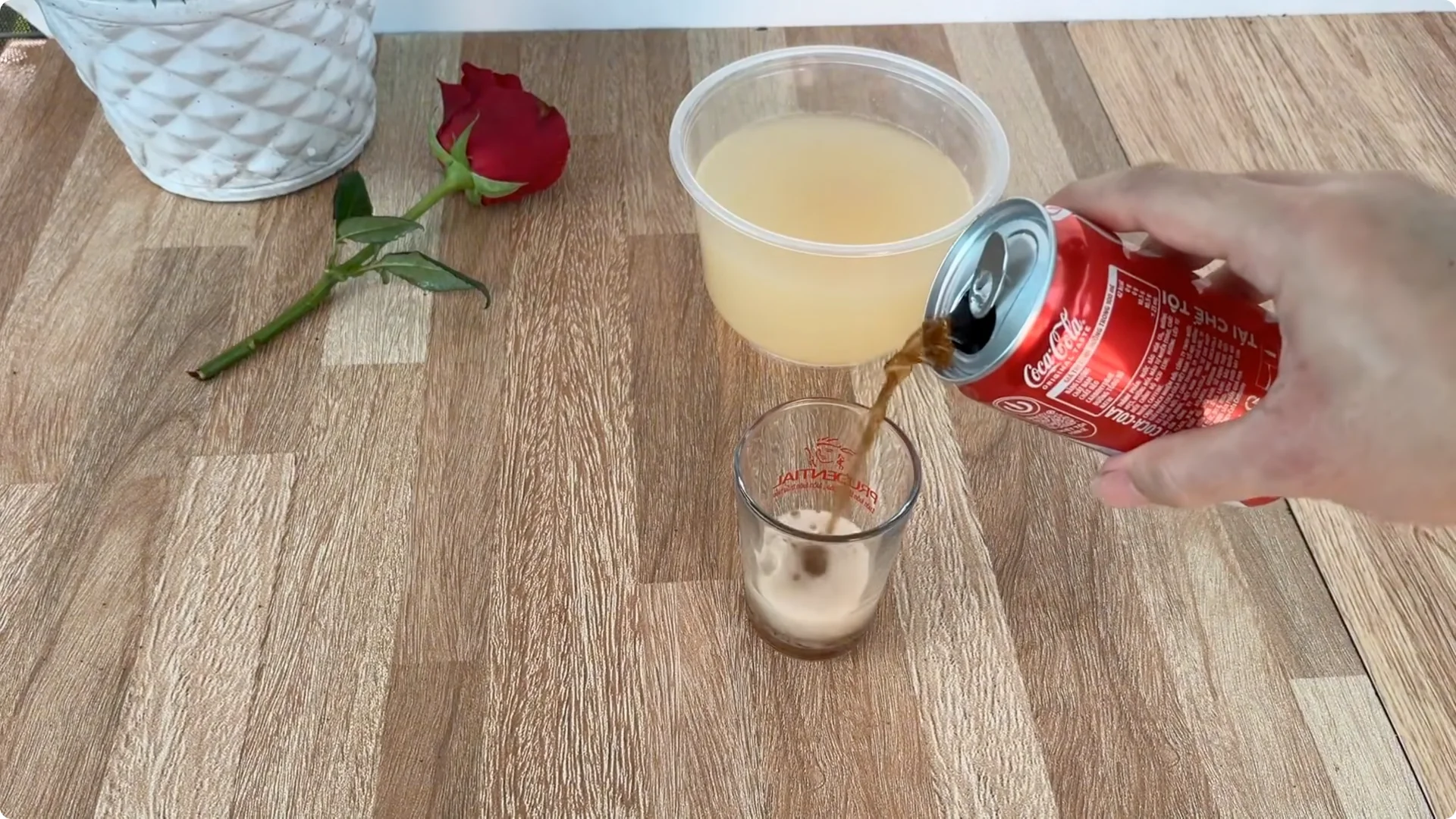 How Onions Help Roses Root Faster: A Simple Propagation Trick screenshot 7