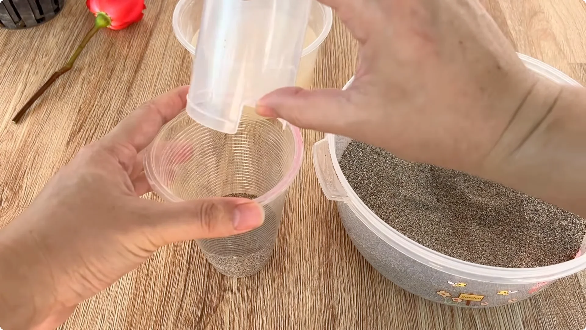 How Rose Cuttings Can Sprout 900% Faster and Bloom Year-Round screenshot 8