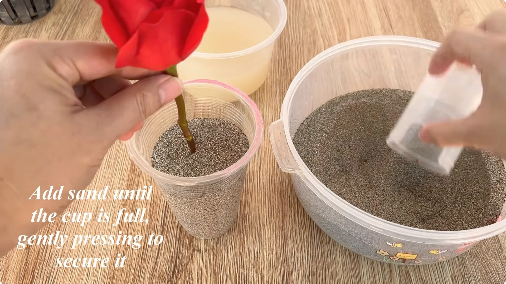 How Rose Cuttings Can Sprout 900% Faster and Bloom Year-Round screenshot 9