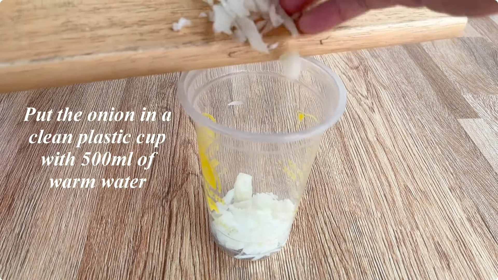 How Rose Cuttings Root and Sprout 9x Faster Than Usual screenshot 1