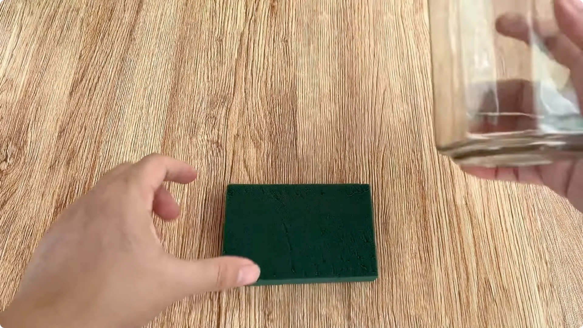 How Rose Cuttings Root and Sprout 9x Faster Than Usual screenshot 4