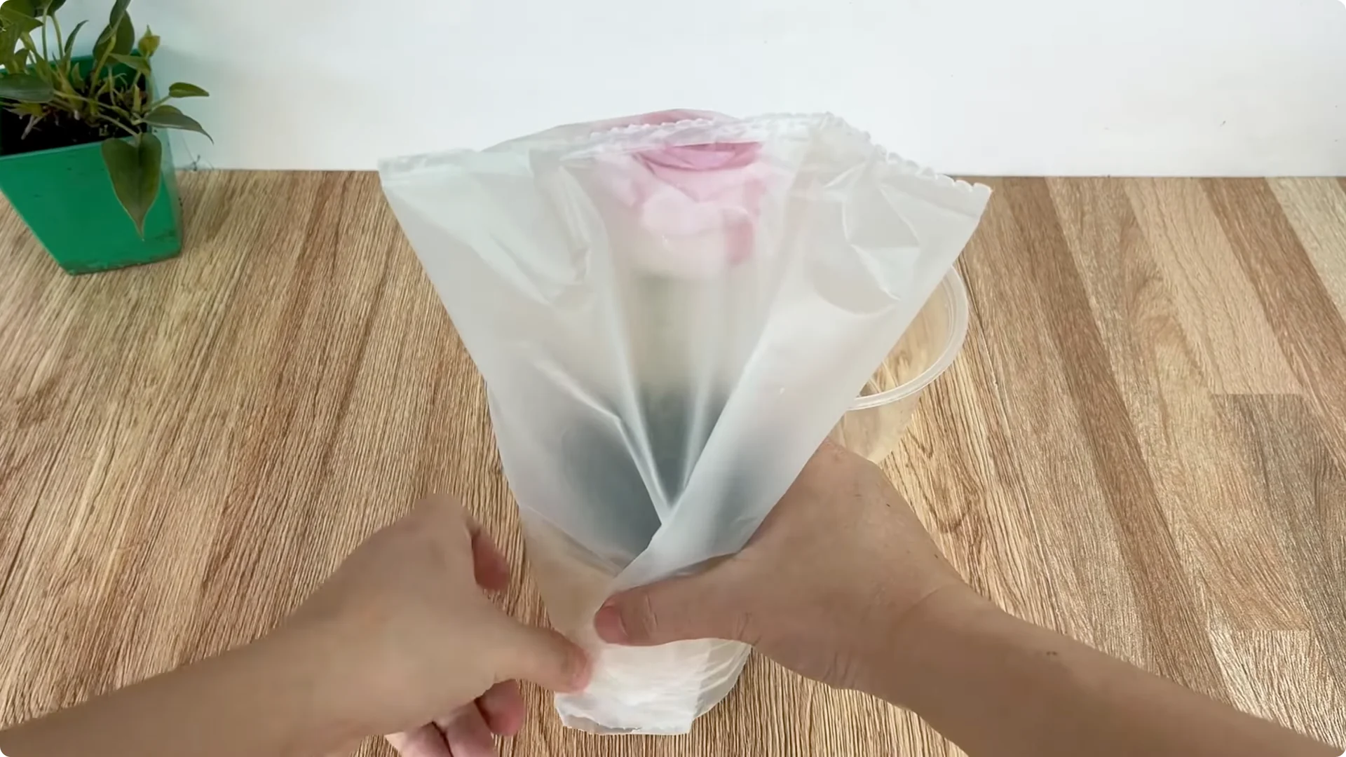 How Rose Cuttings Root and Sprout 9x Faster Than Usual screenshot 7