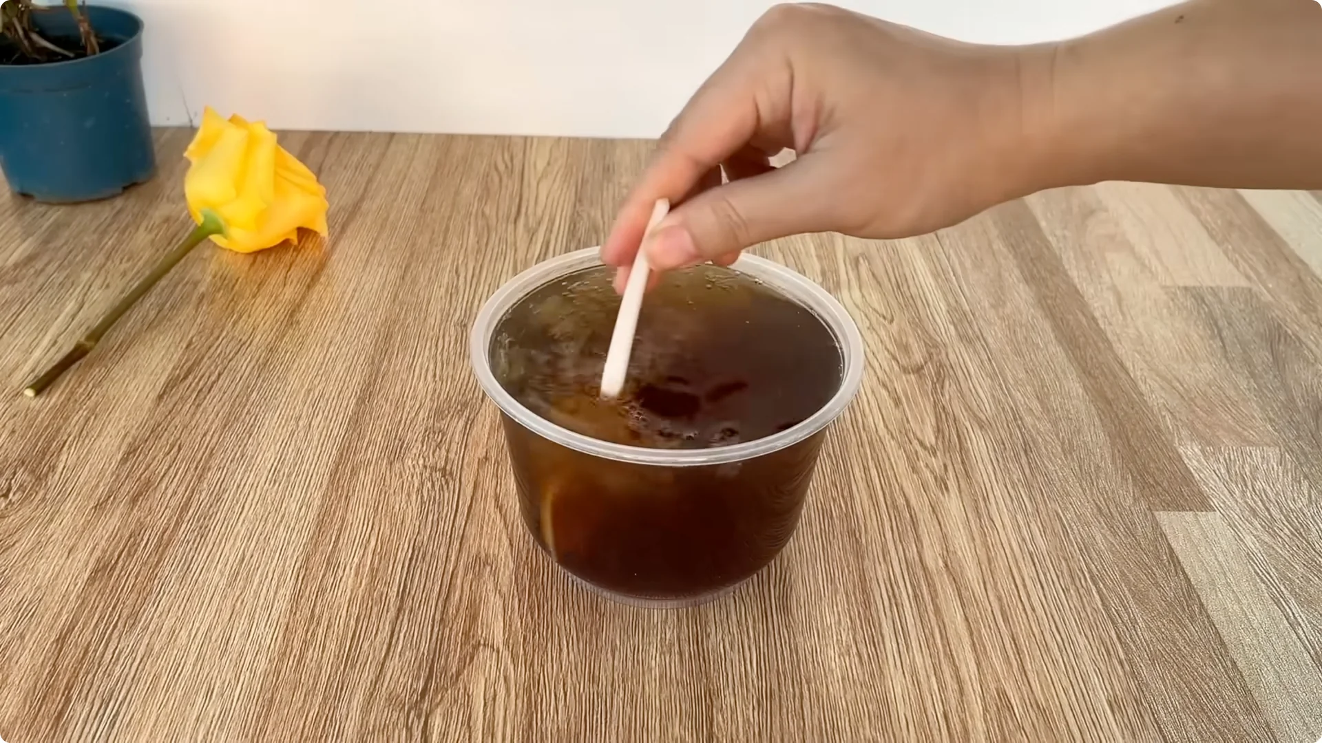 How This Simple Trick Grows Rose Stems with Thousands of Roots screenshot 5