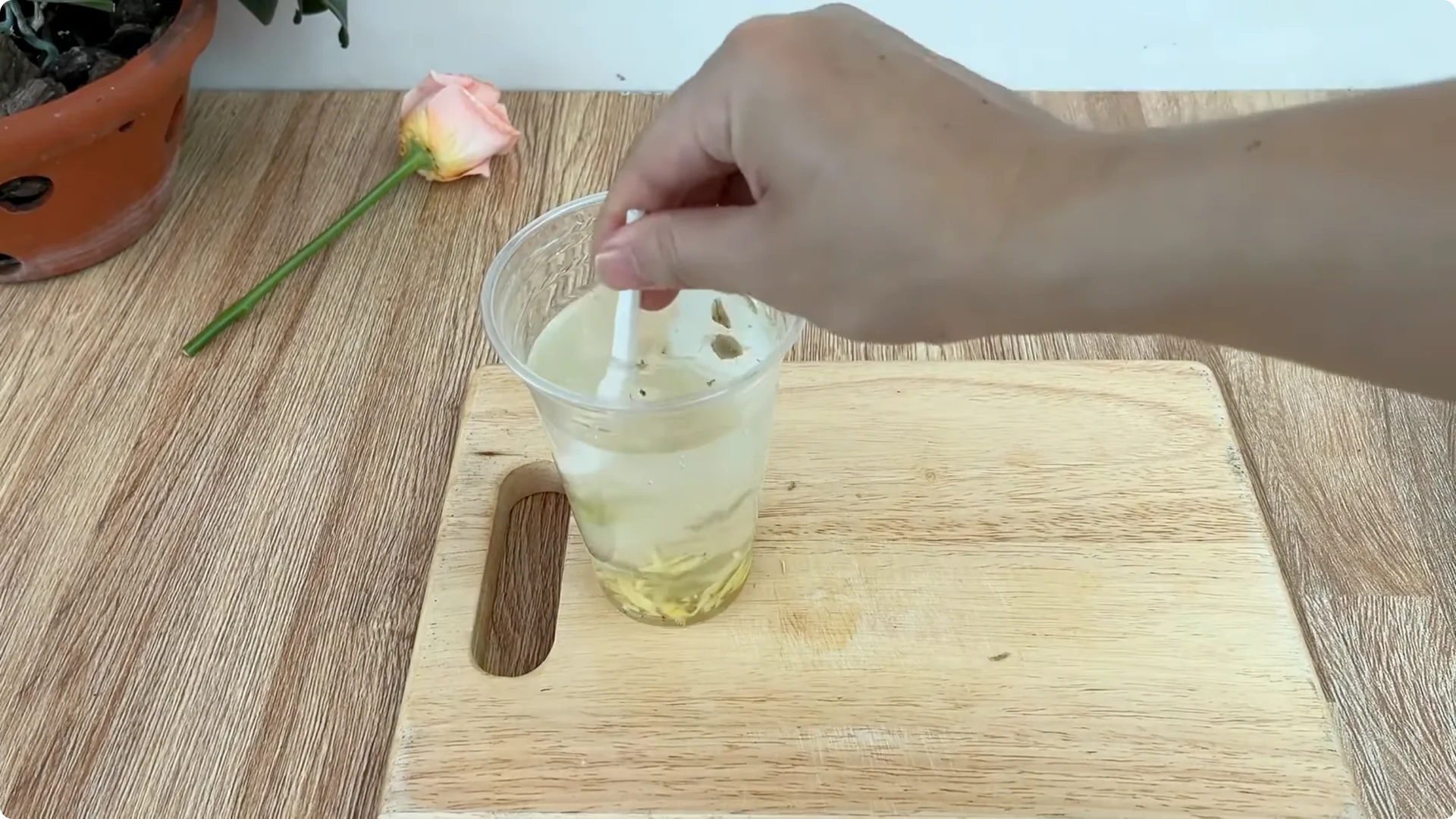How This Simple Trick Helps Rose Cuttings Root and Bloom Fast screenshot 2