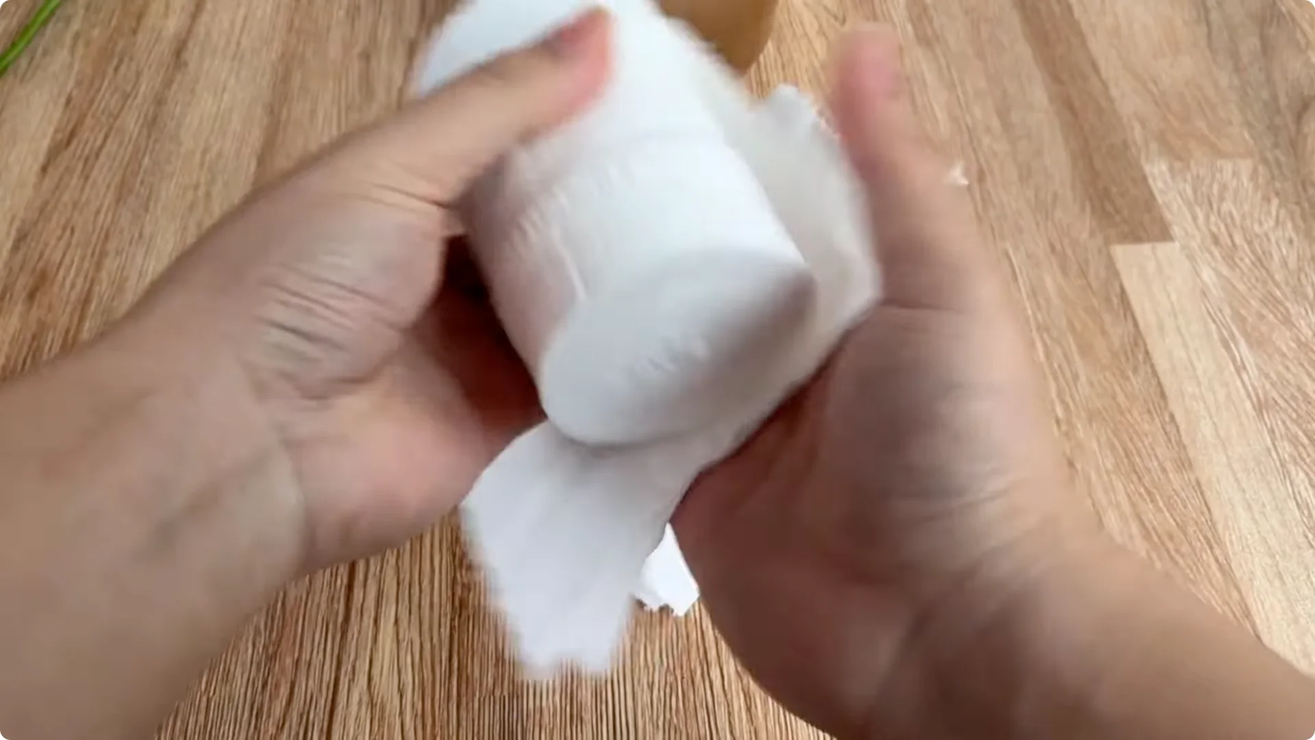 How to Easily Propagate Roses for Stunning Results screenshot 6