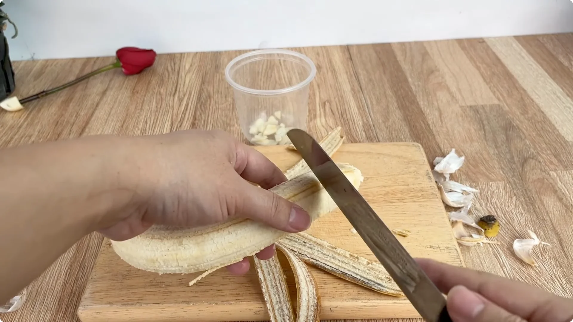 How to Easily Propagate Roses with This Simple Method screenshot 11