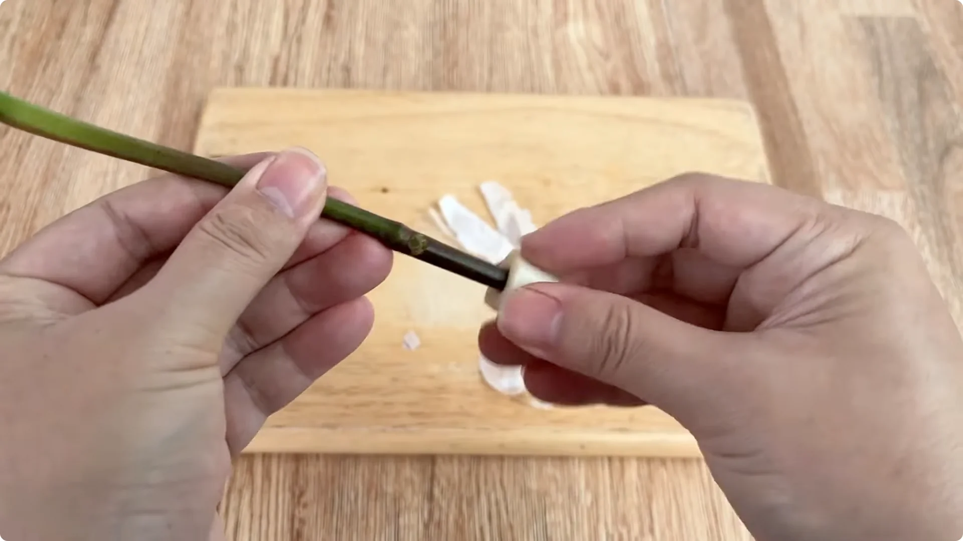 How to Easily Propagate Roses with This Simple Method screenshot 7