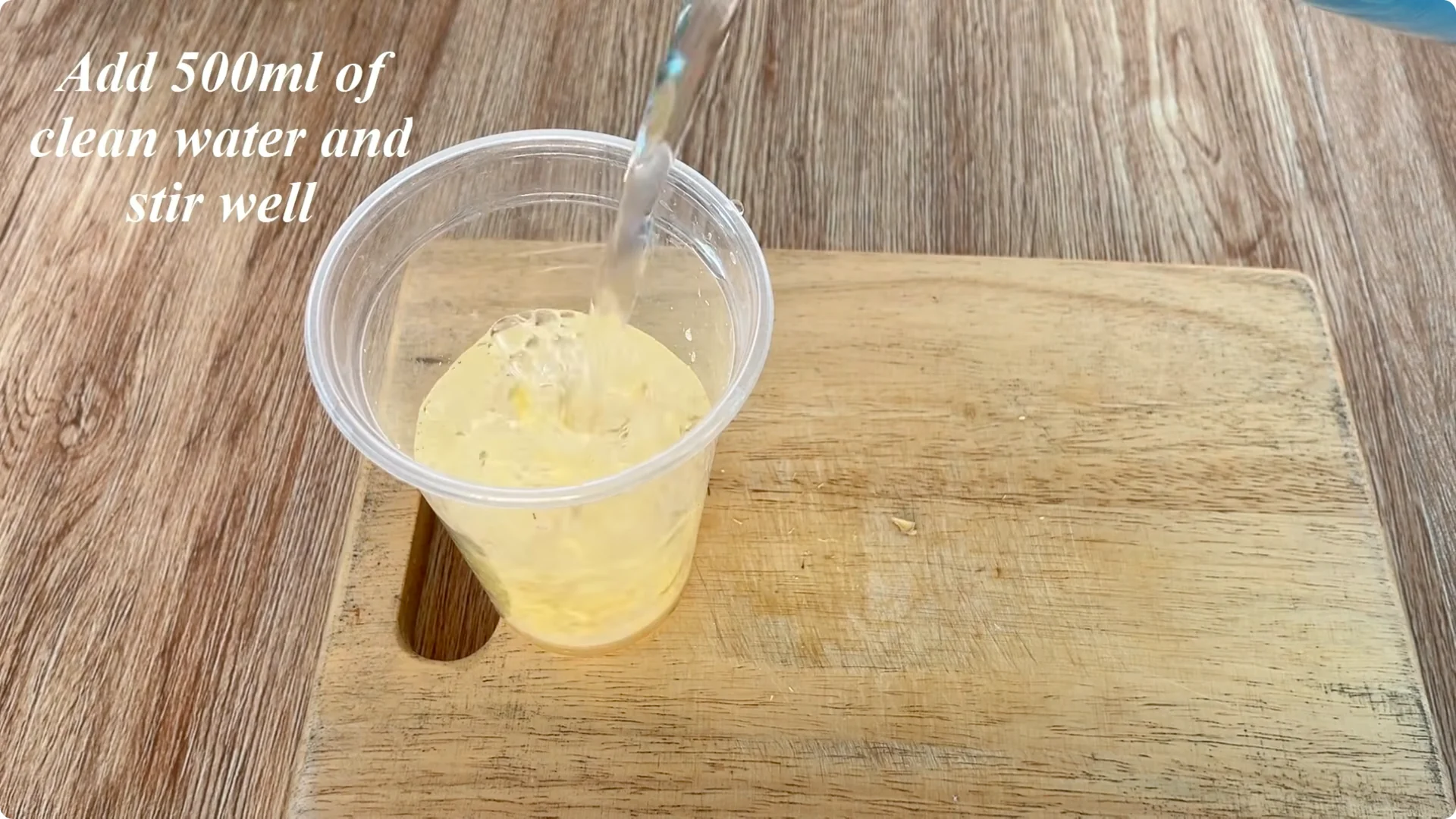 How to Help Rose Cuttings Root and Sprout Fast screenshot 1