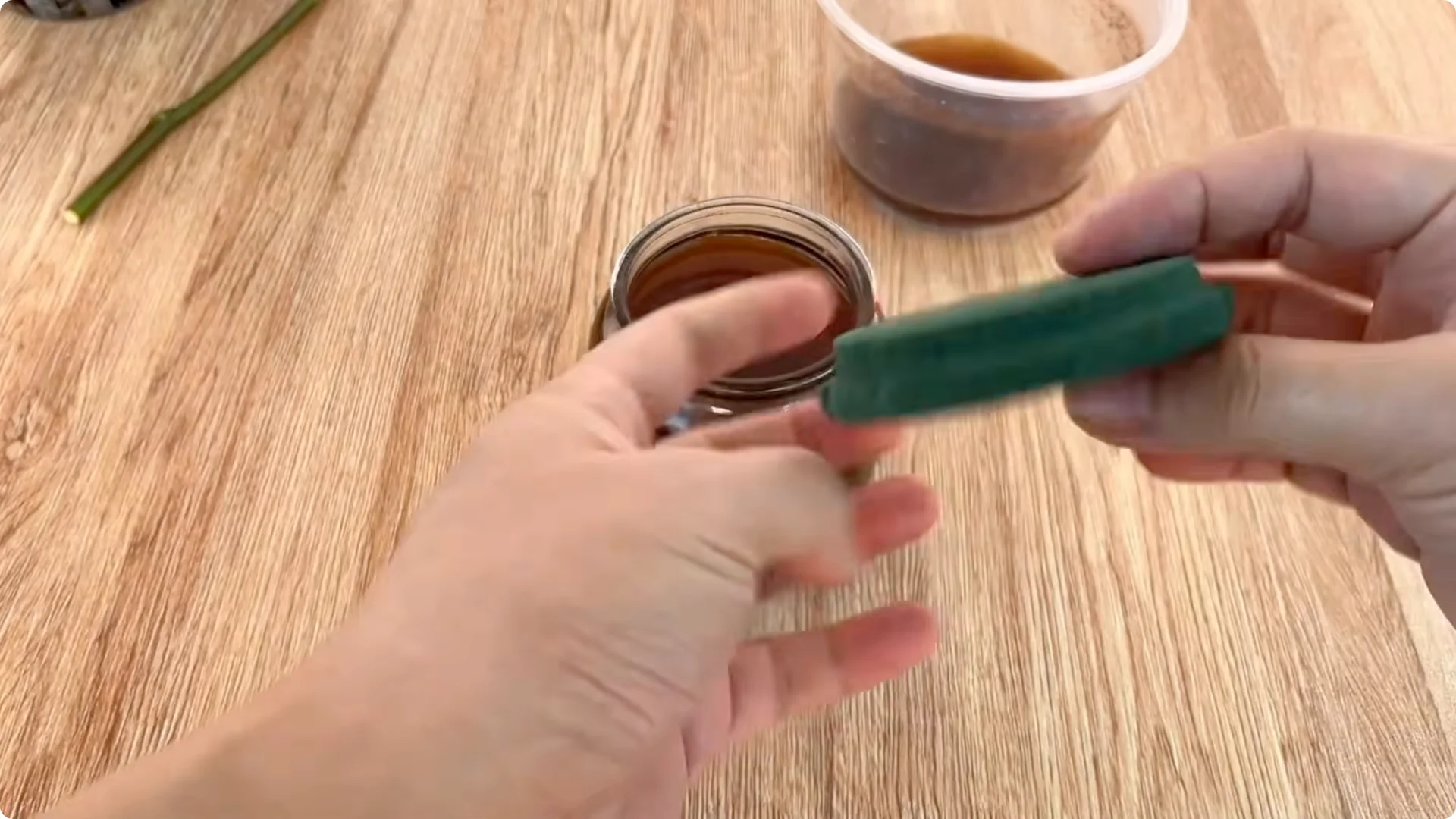 How to Help Rose Cuttings Root and Sprout Fast screenshot 4