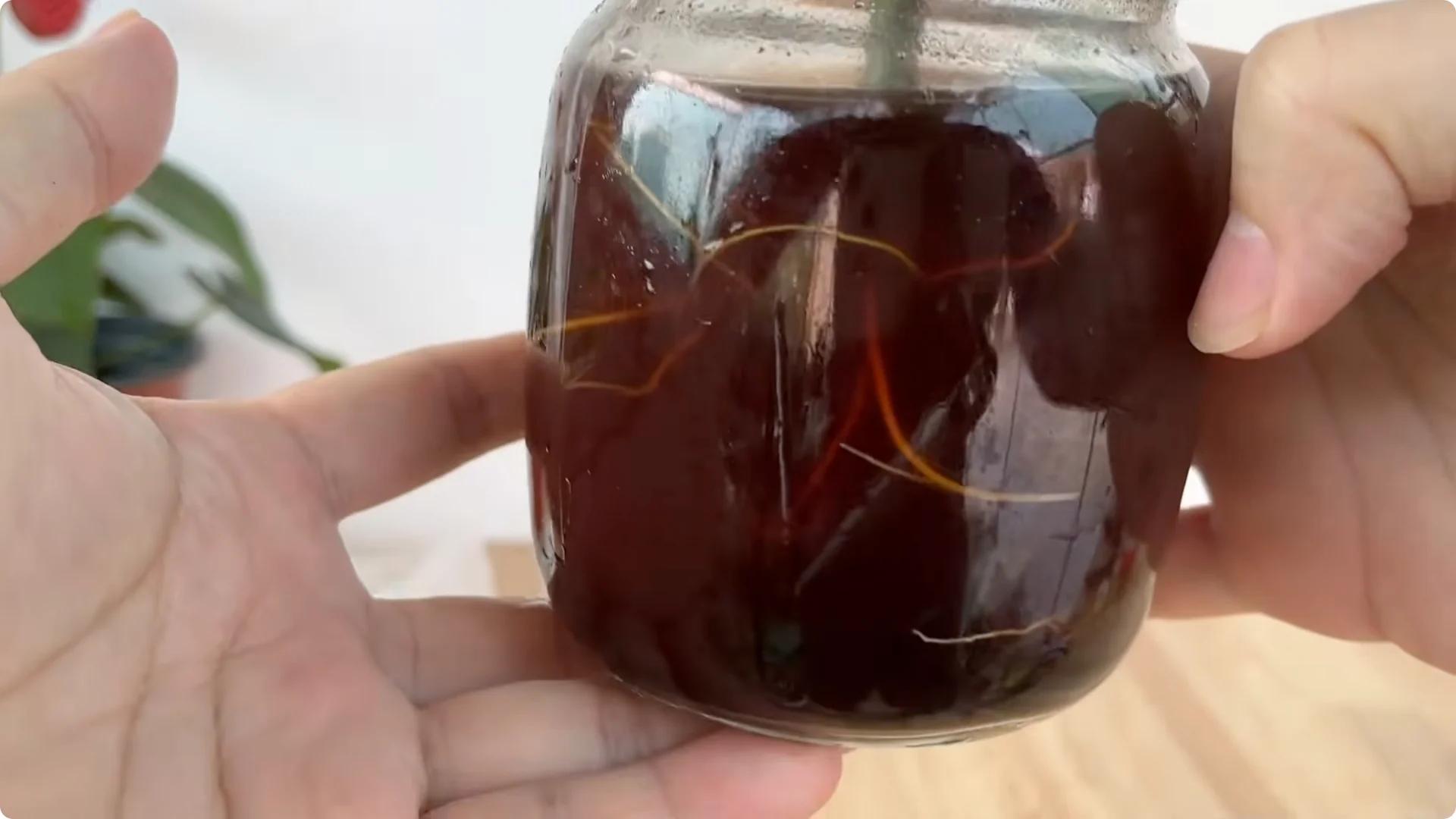 How to Help Rose Cuttings Root and Sprout Fast screenshot 6