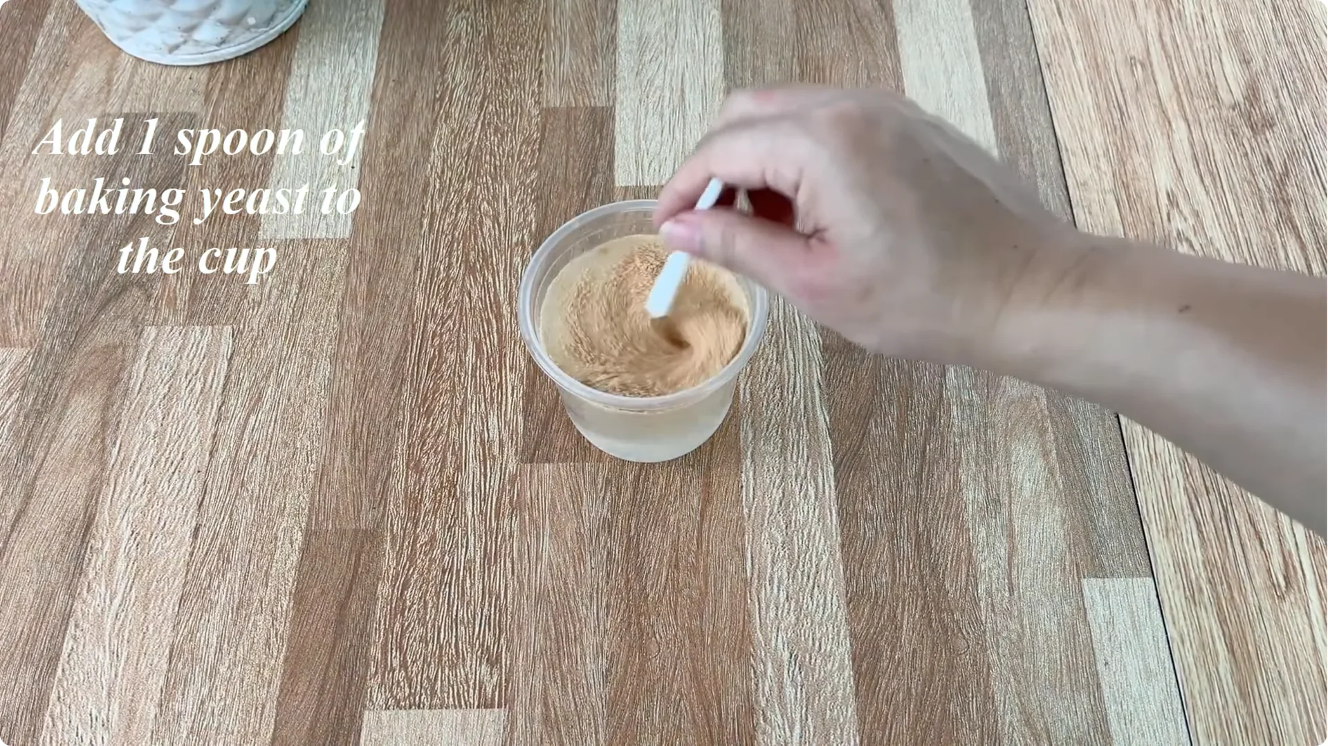 How to Help Rose Cuttings Root Faster and Healthier screenshot 3