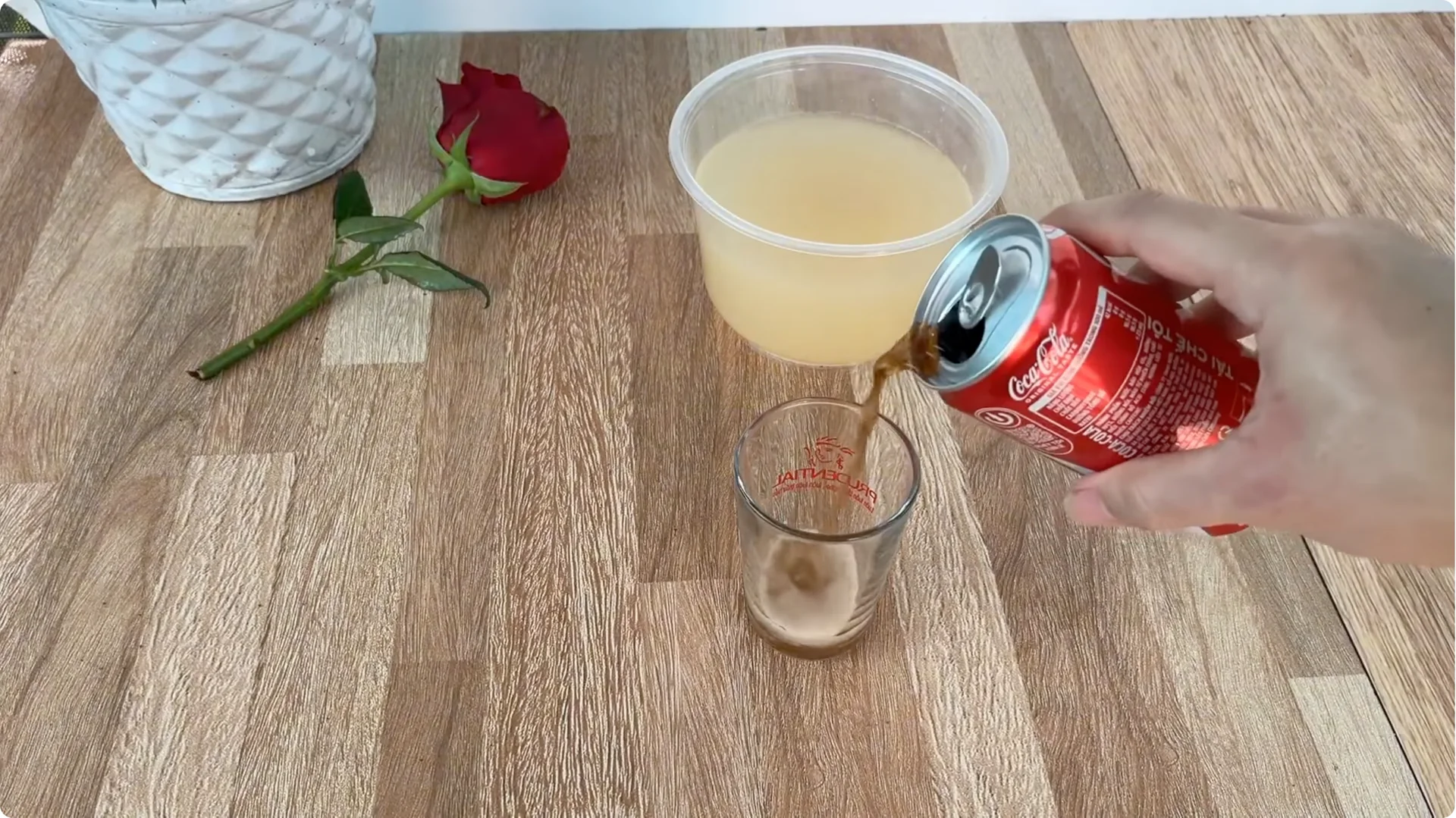 How to Help Rose Cuttings Root Faster and Healthier screenshot 4