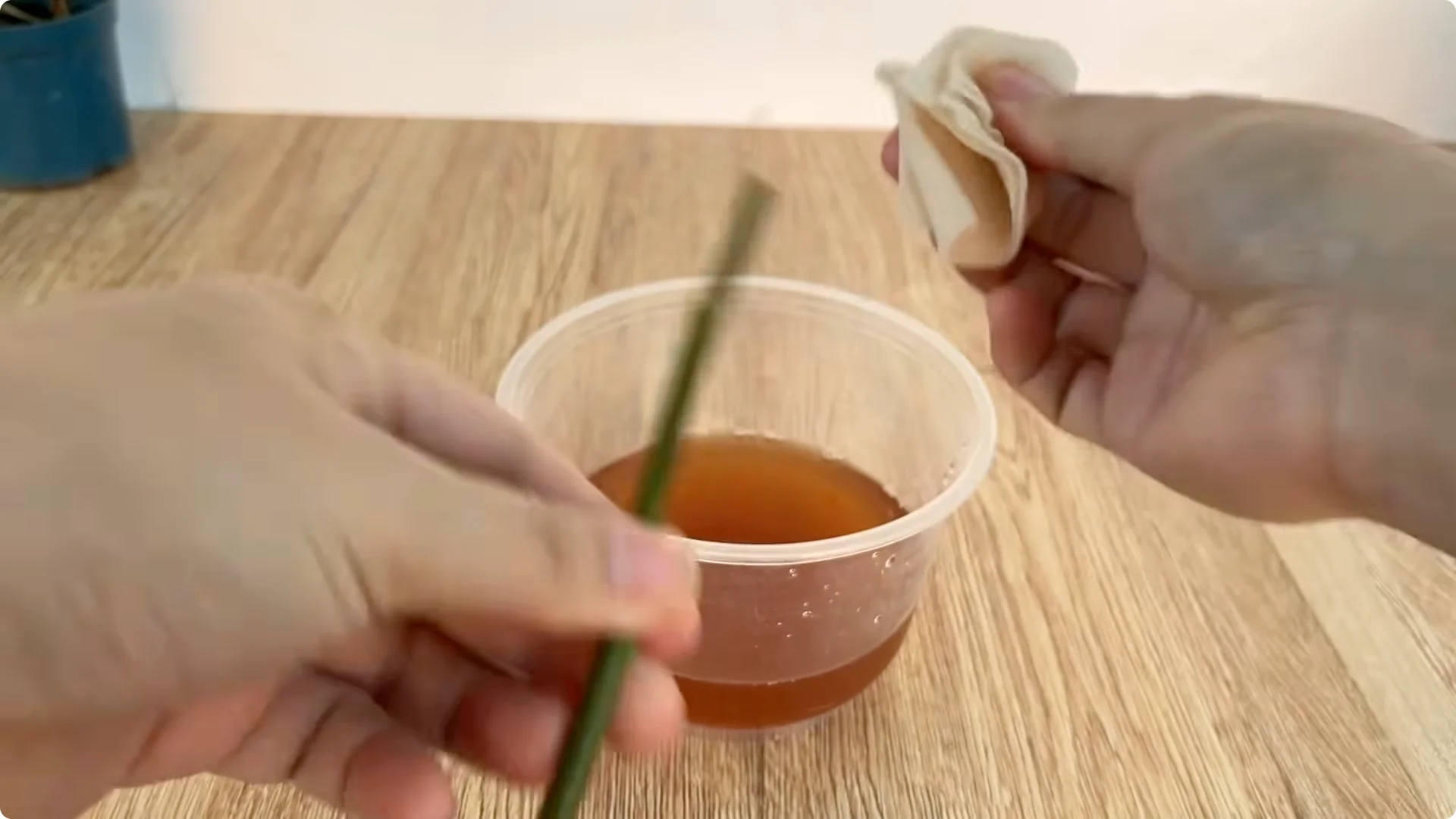 How to Help Rose Cuttings Root Faster and Stronger screenshot 3