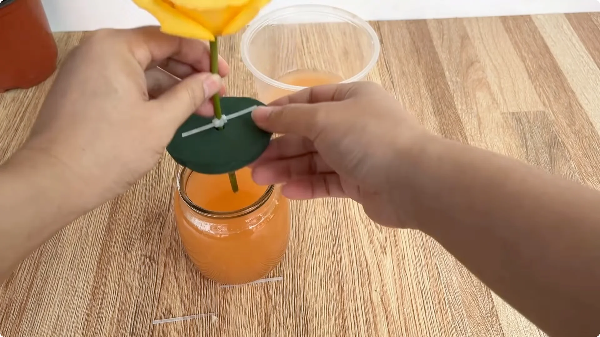 How to Help Rose Cuttings Root Faster and Stronger screenshot 5