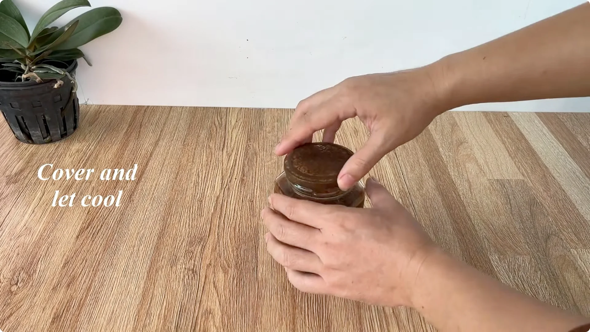 How to Help Roses Root and Sprout Overnight Easily screenshot 2