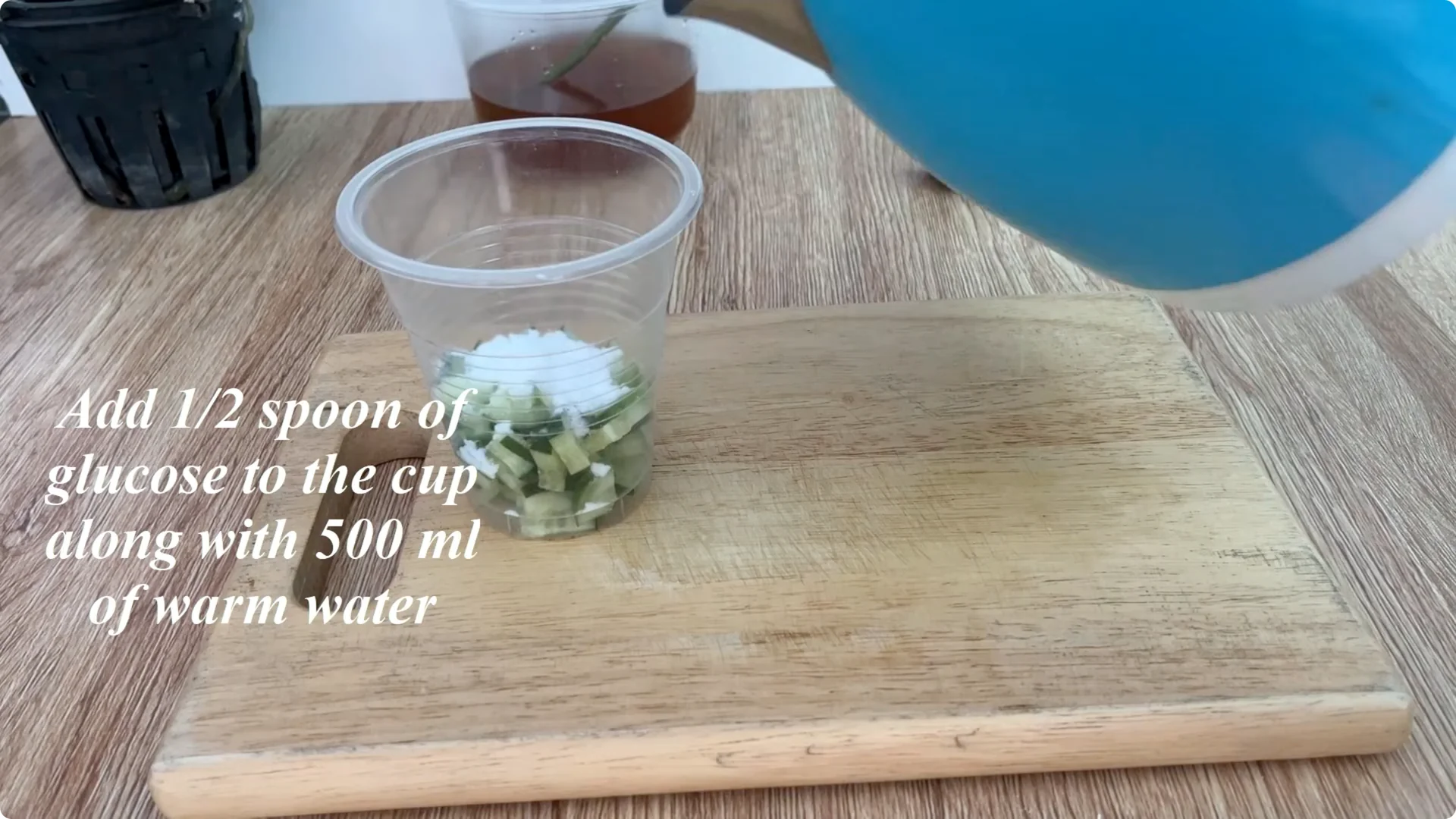 How to Help Roses Root and Sprout Overnight Easily screenshot 4