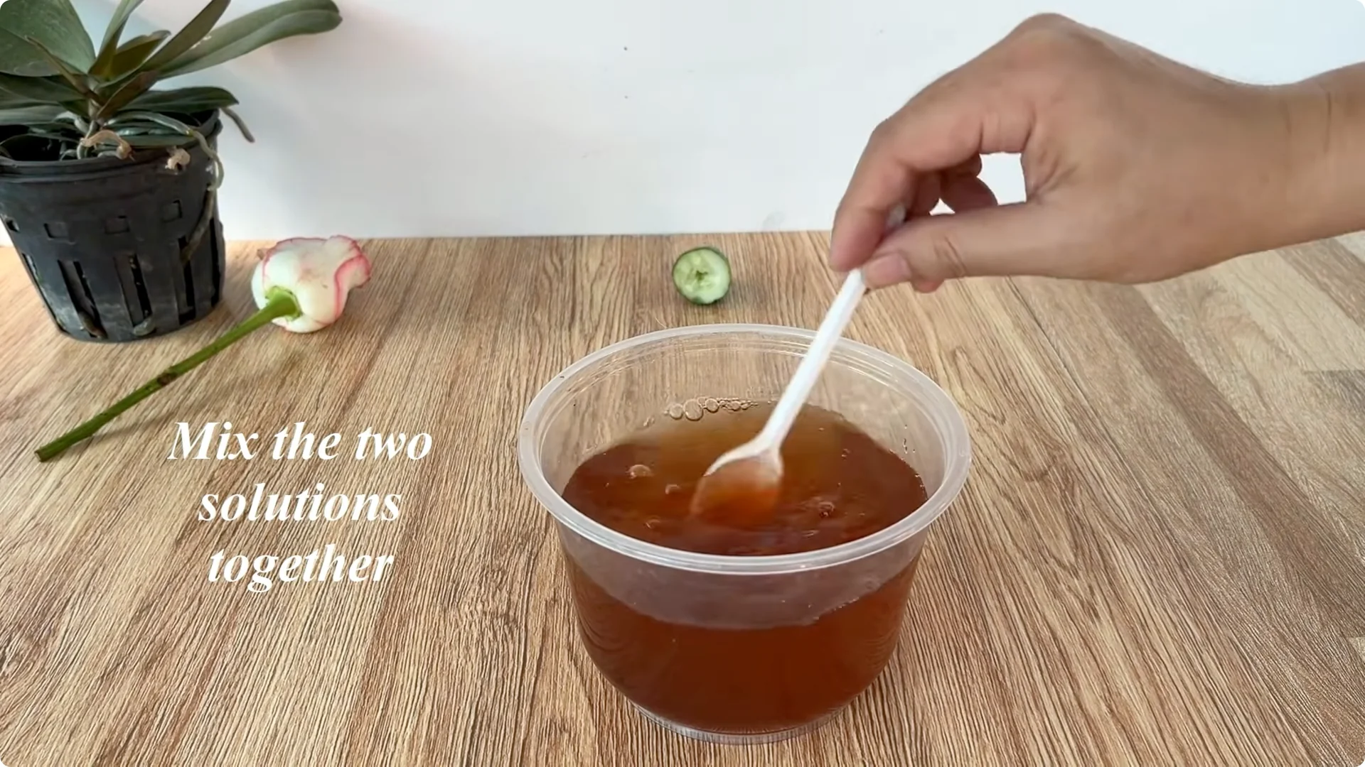 How to Help Roses Root and Sprout Overnight Easily screenshot 5