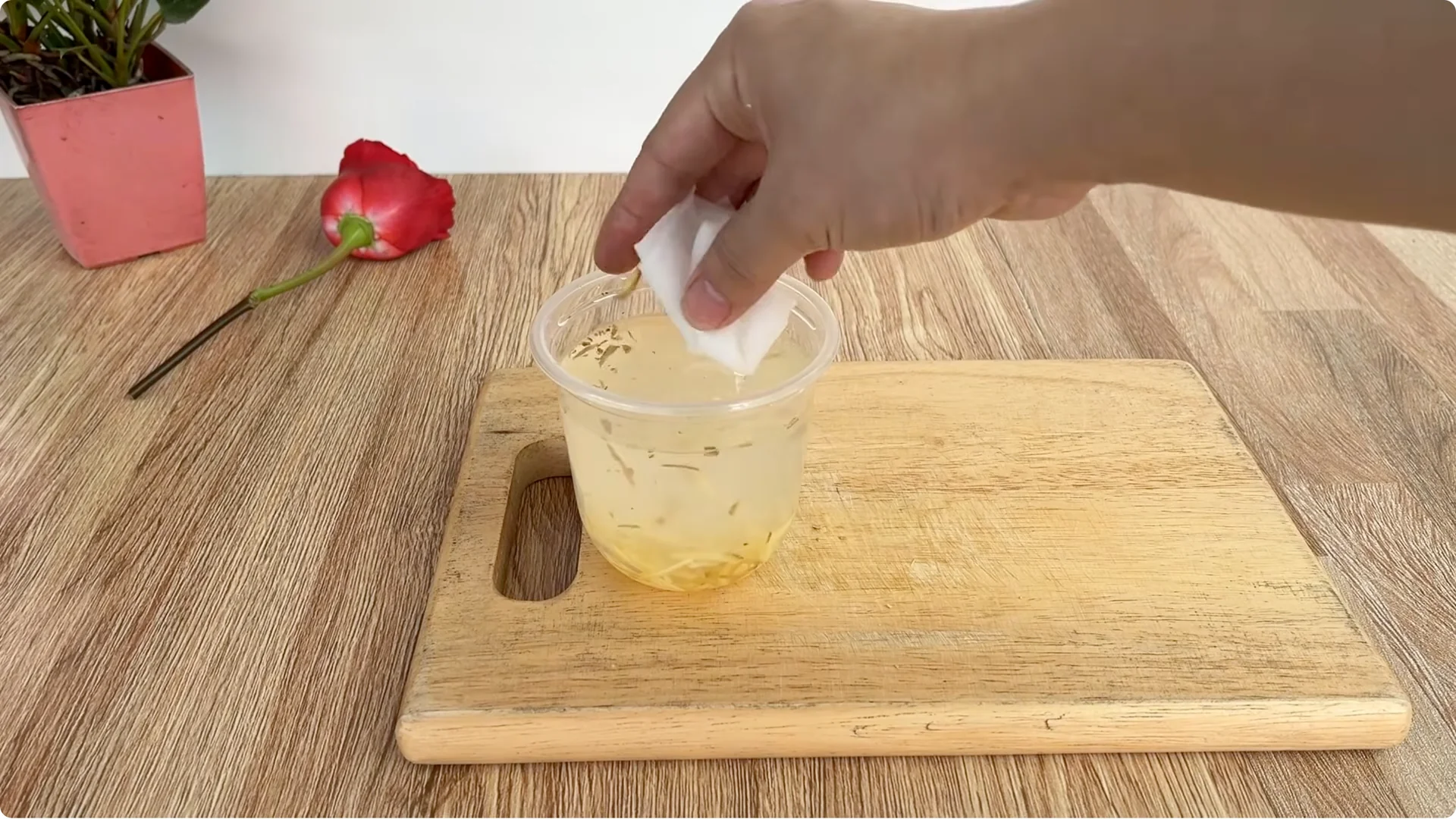 How to Make Rose Branches Root and Sprout Overnight screenshot 4