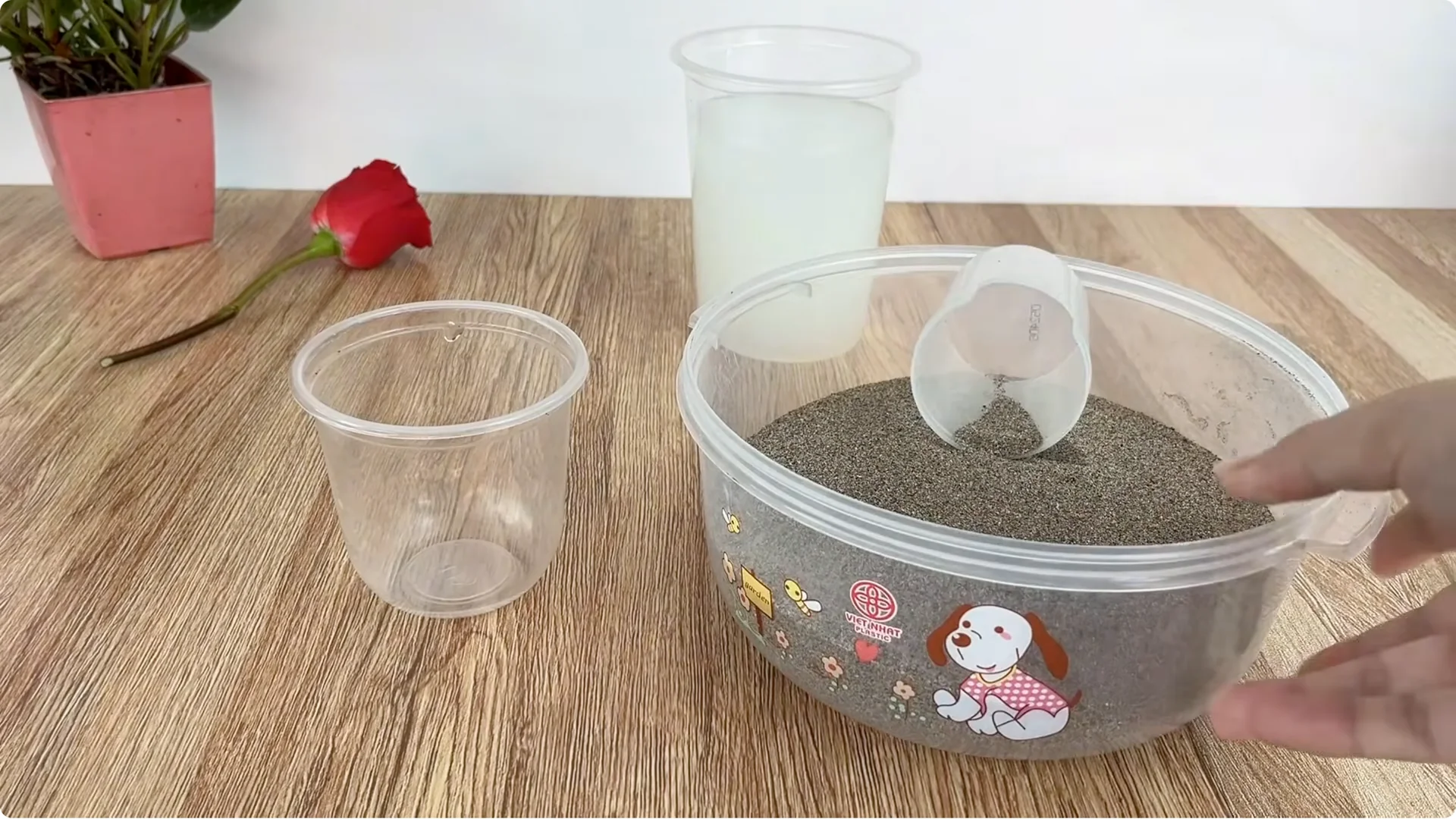 How to Make Rose Branches Root and Sprout Overnight screenshot 7