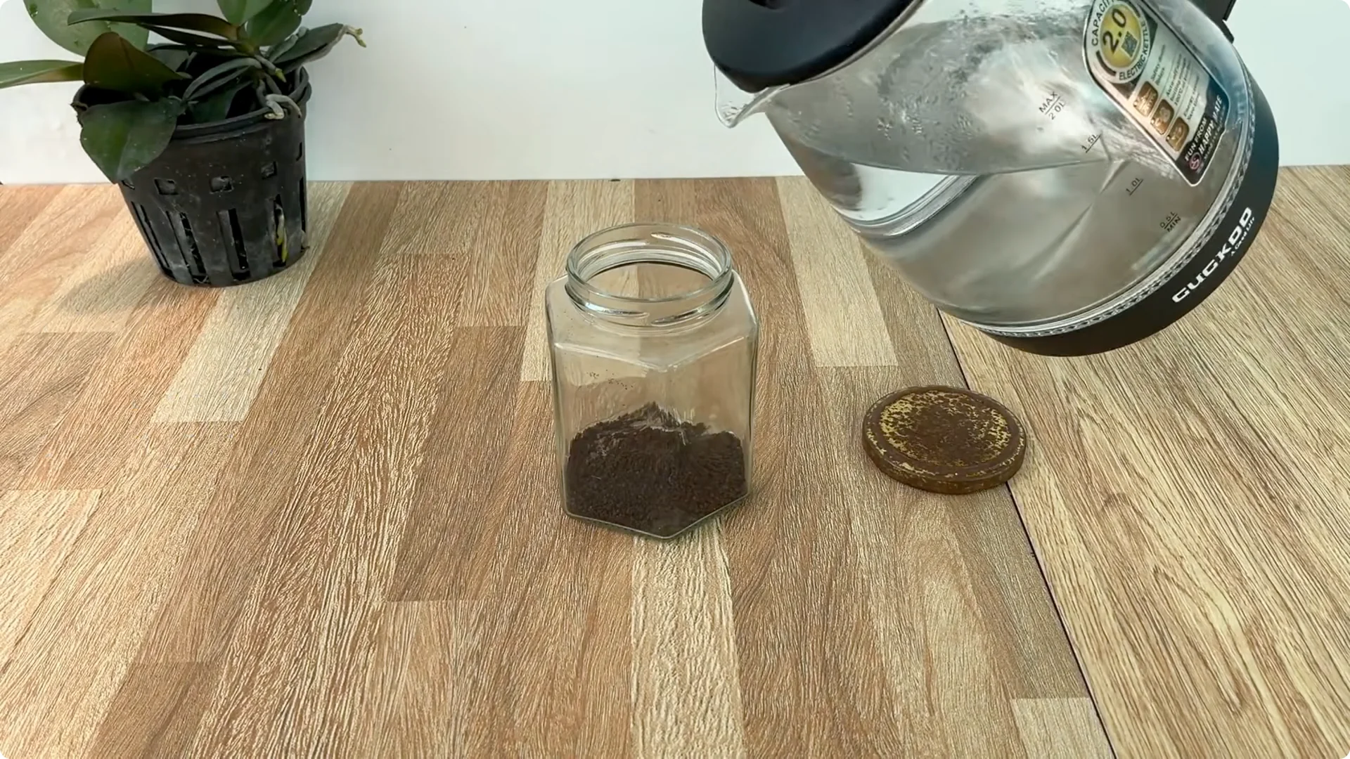 How to Propagate Roses 900 Times Faster Using This Method screenshot 1