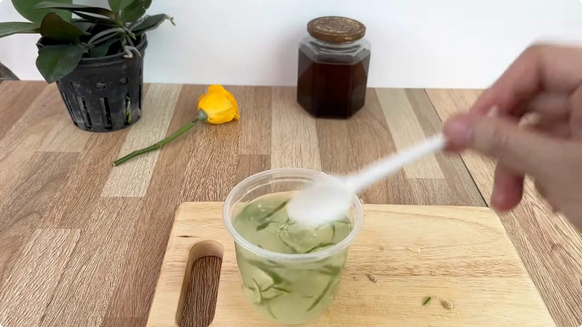 How to Propagate Roses 900 Times Faster Using This Method screenshot 6