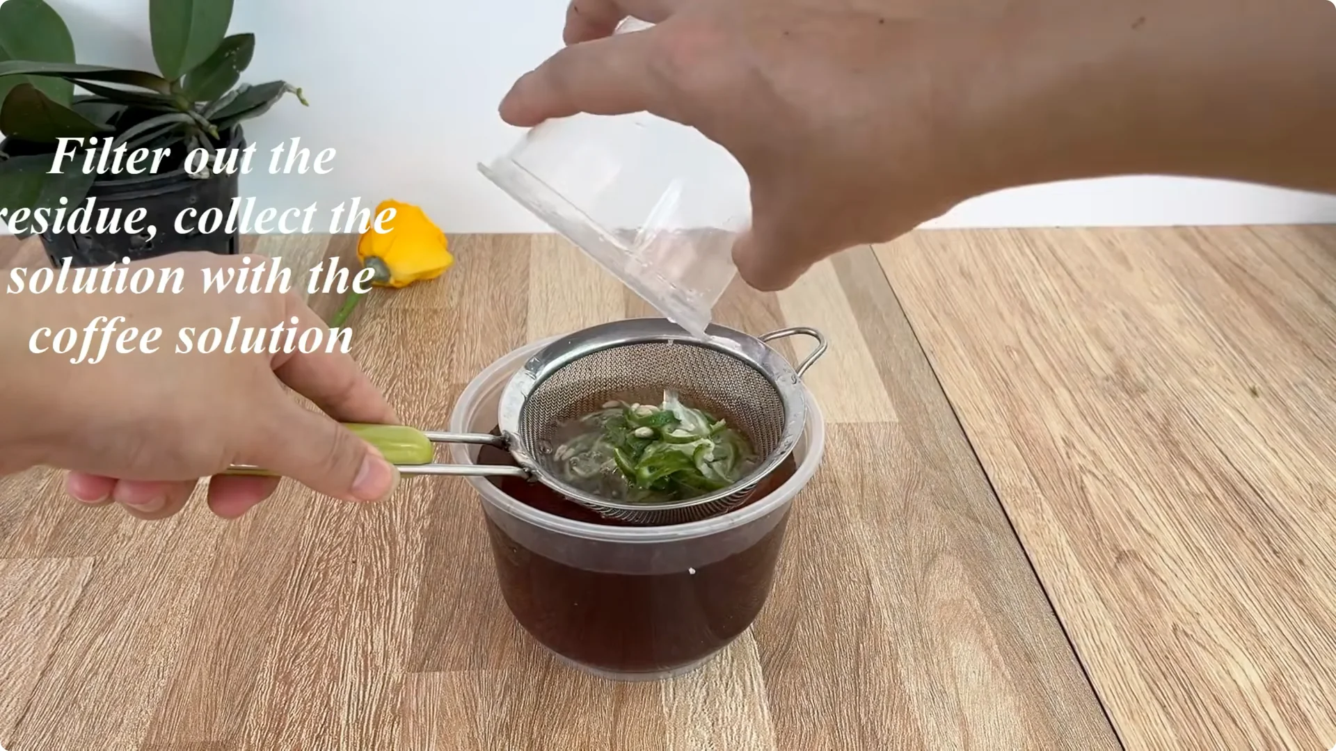 How to Propagate Roses 900 Times Faster Using This Method screenshot 7