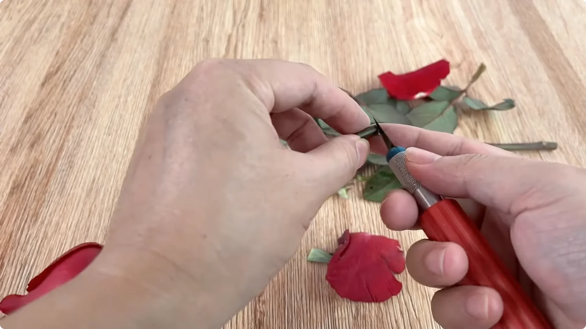 How to Quickly Root a Rose Branch for Fast Growth screenshot 2