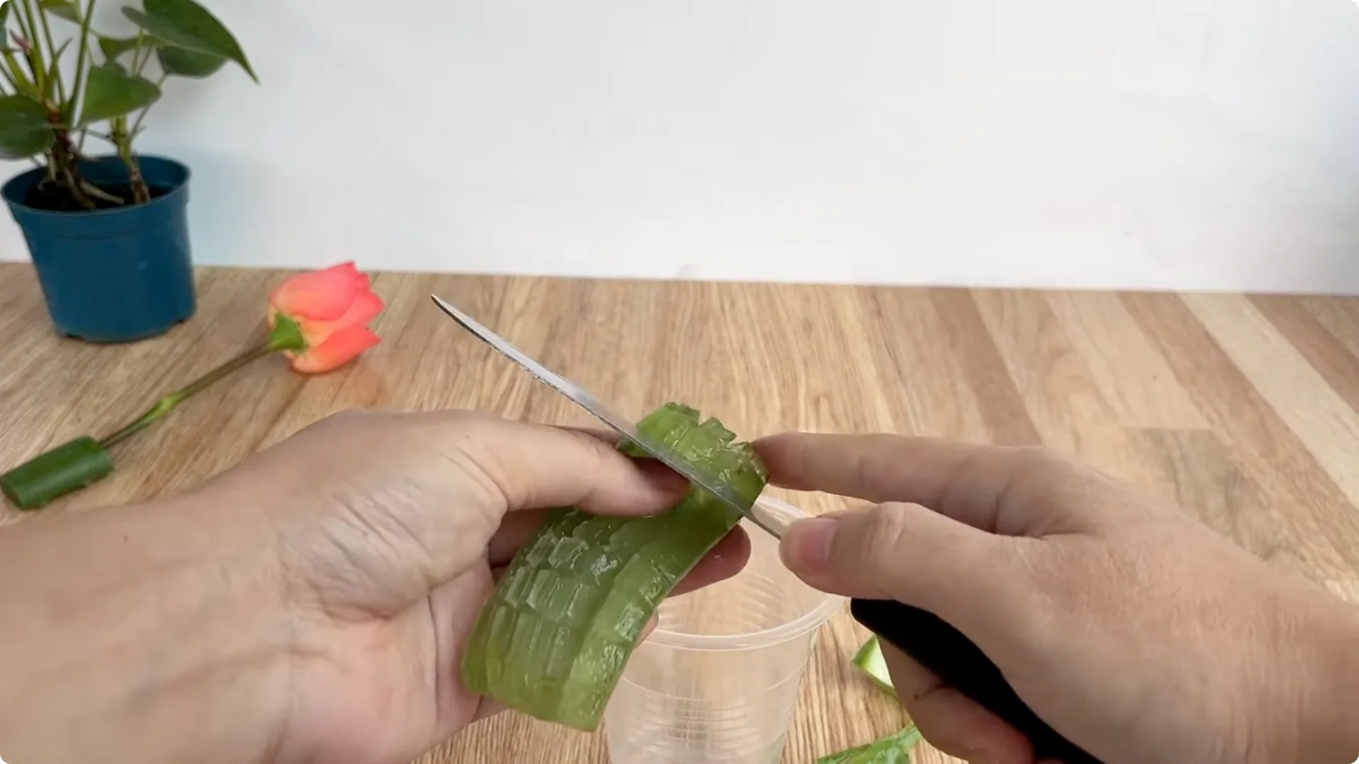 How to Quickly Root a Rose Branch for Fast Growth screenshot 3