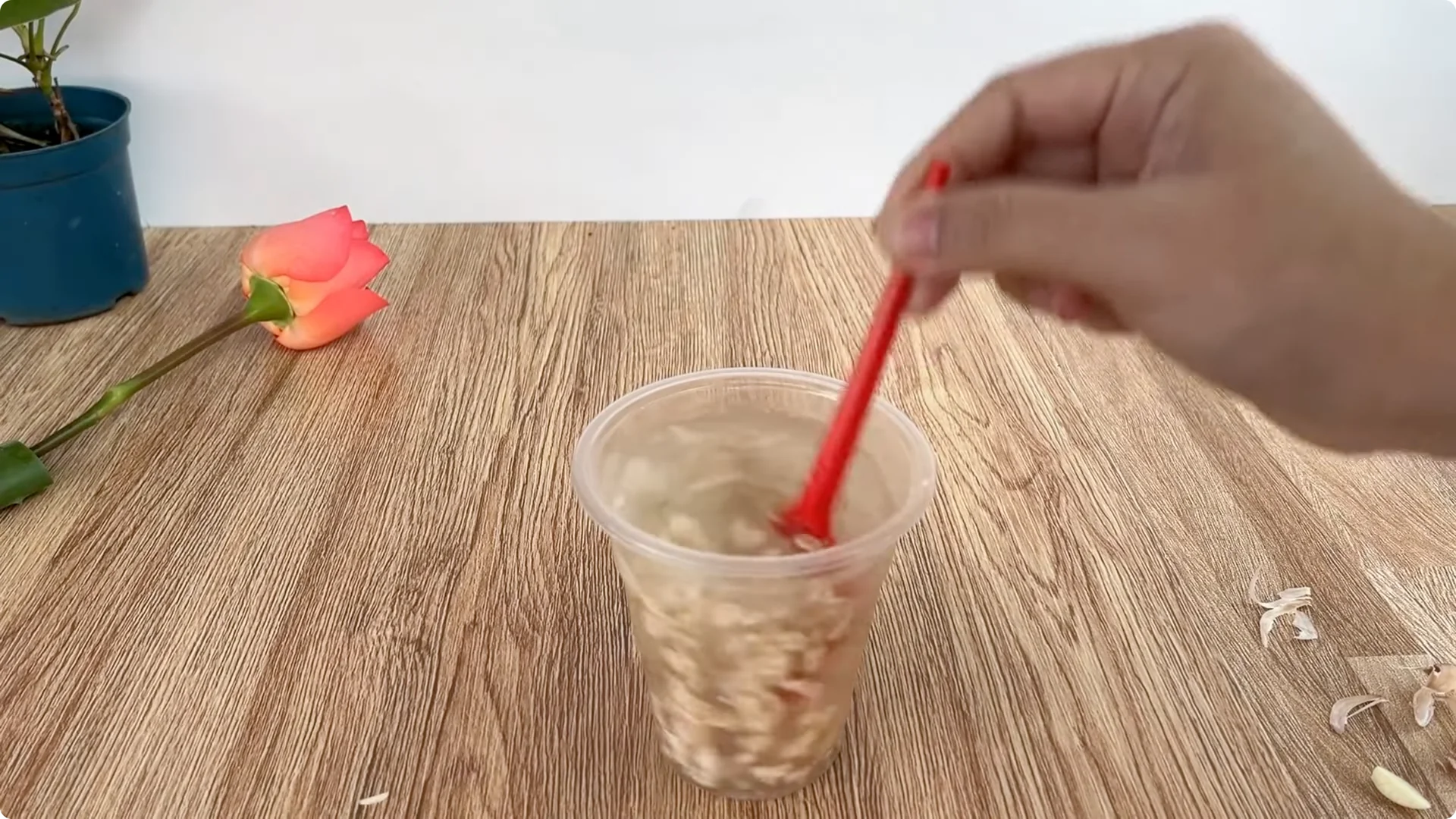 How to Quickly Root a Rose Branch for Fast Growth screenshot 5