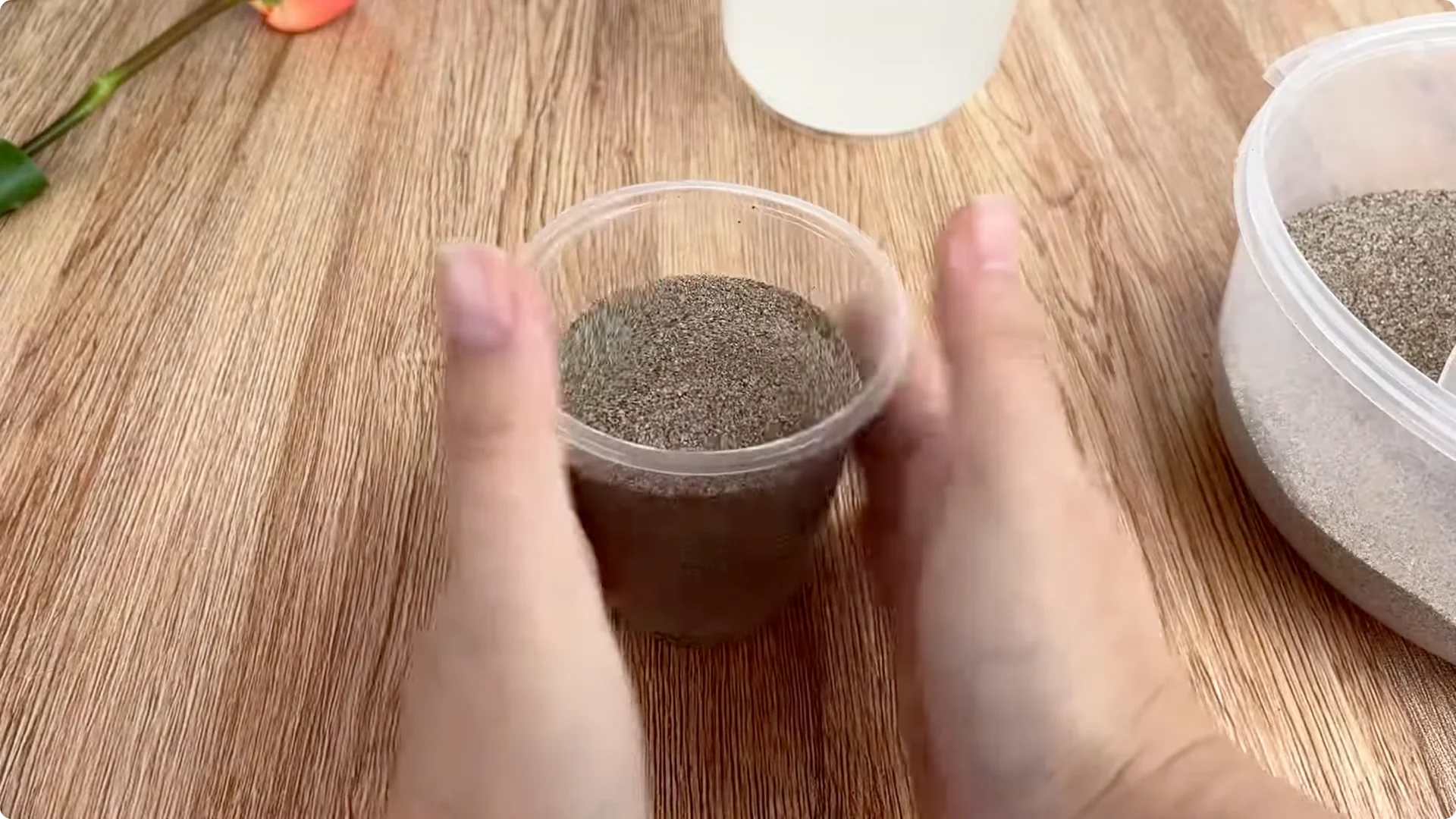 How to Quickly Root a Rose Branch for Fast Growth screenshot 6