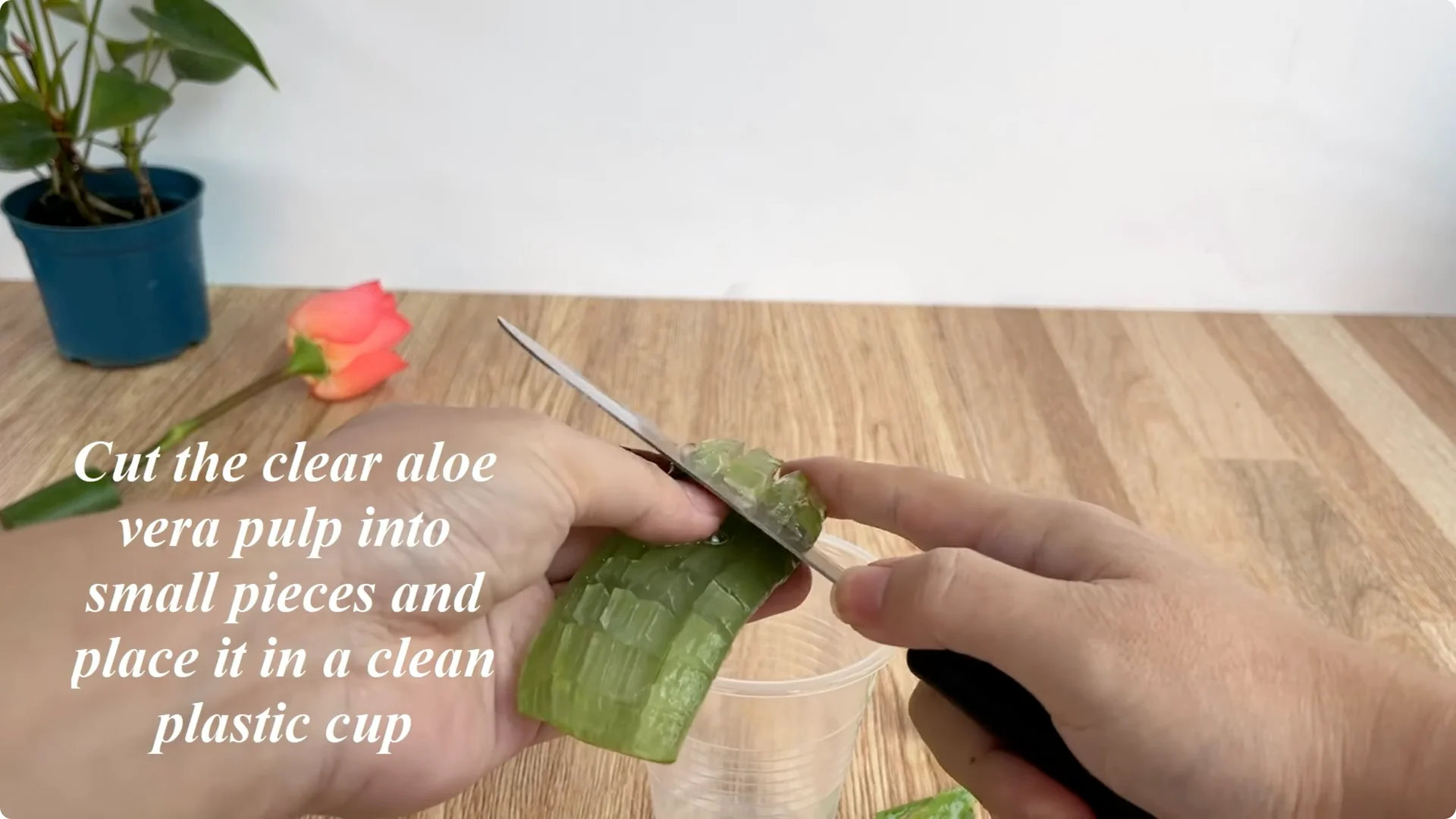 One Spoonful Trick for a Rose Plant Full of Roots and Blooms screenshot 3