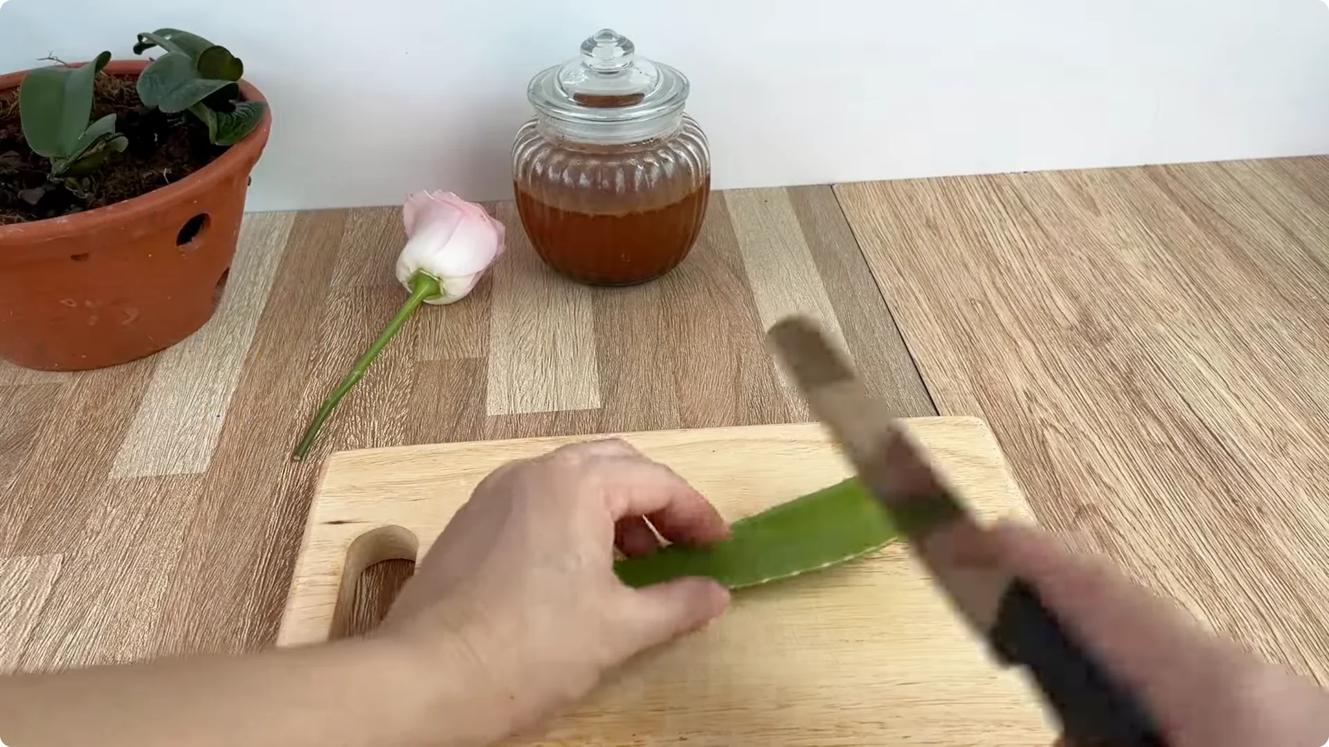 The Easy Trick to Make Rose Cuttings Root and Bloom Fast screenshot 11