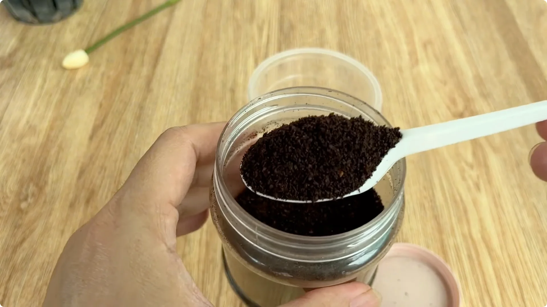 The Simple Method That Changed How I Propagate Roses screenshot 8