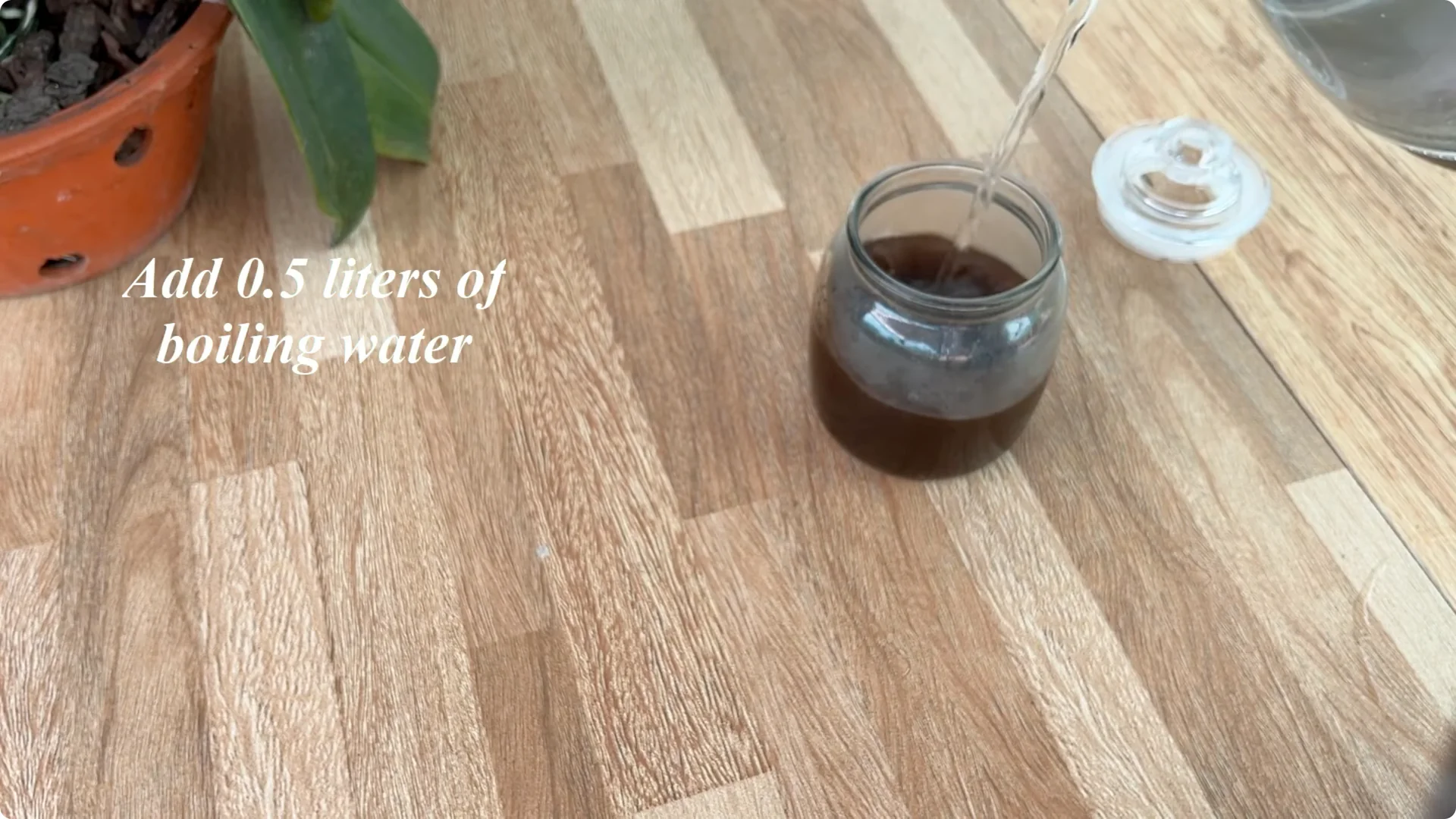 The Simple Method That Surprised Me When Propagating Roses screenshot 1