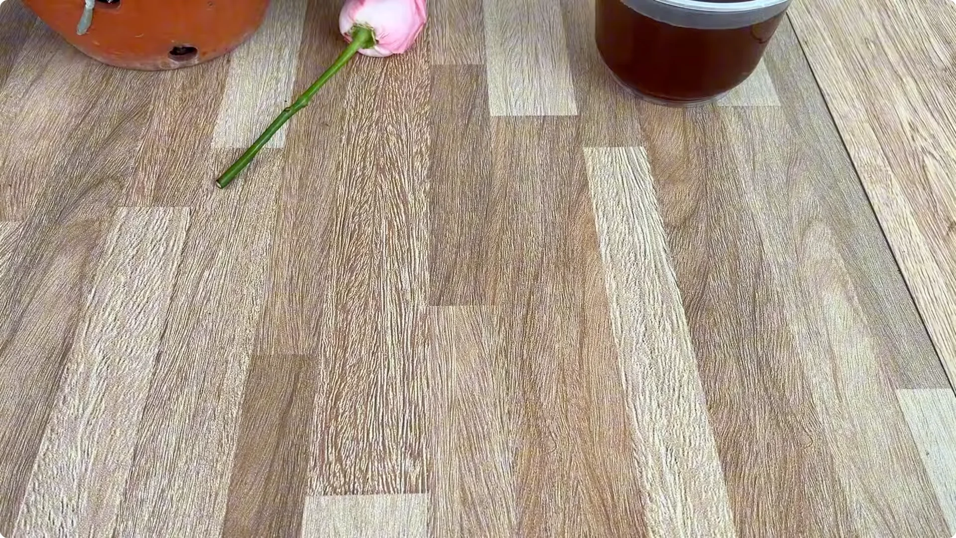 The Simple Method That Surprised Me When Propagating Roses screenshot 11