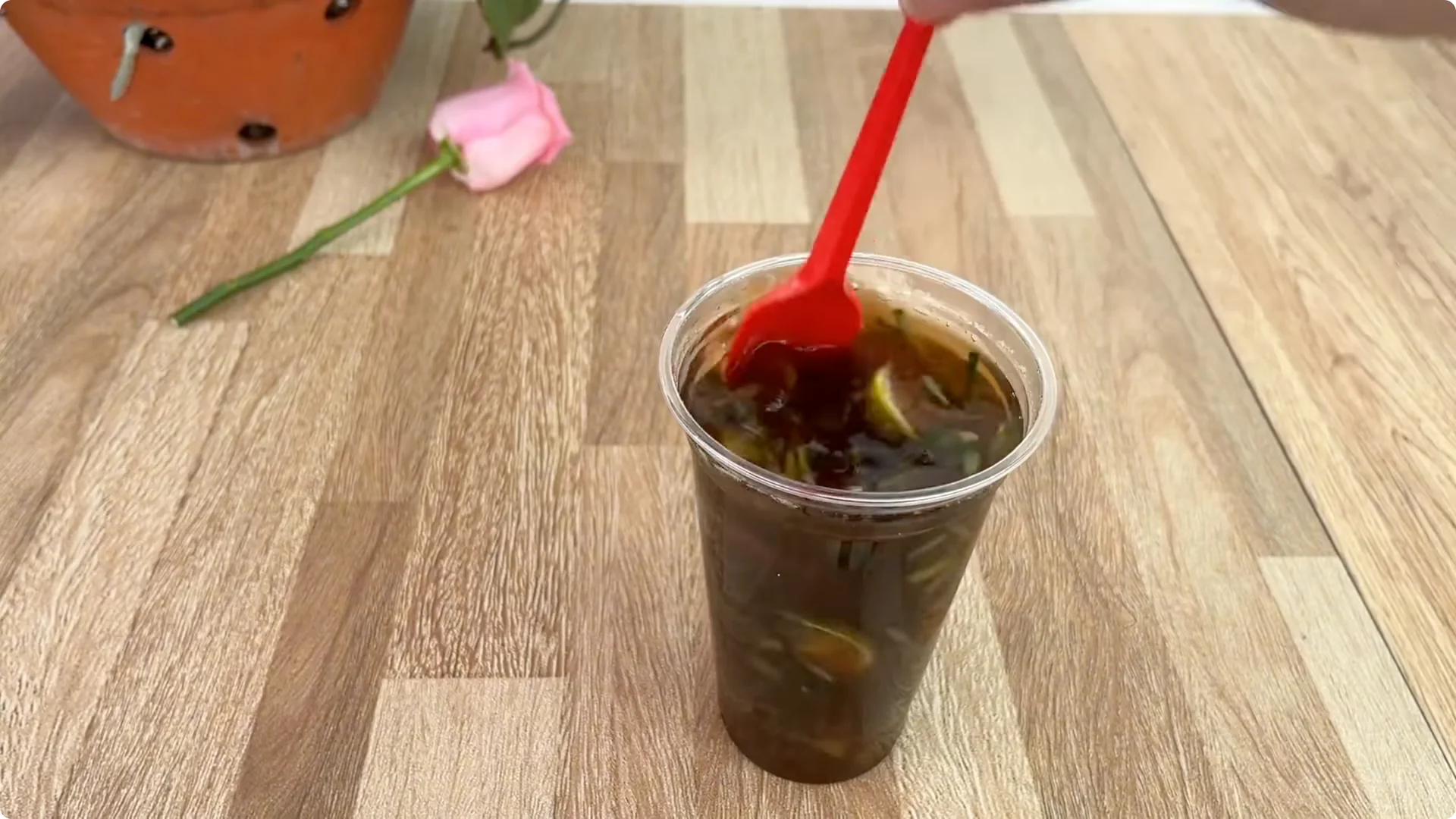 The Simple Method That Surprised Me When Propagating Roses screenshot 8