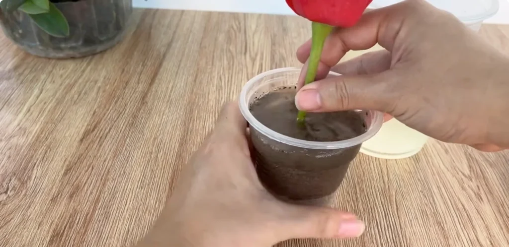 The Simple Rose Propagation Trick Few Gardeners Use screenshot 20