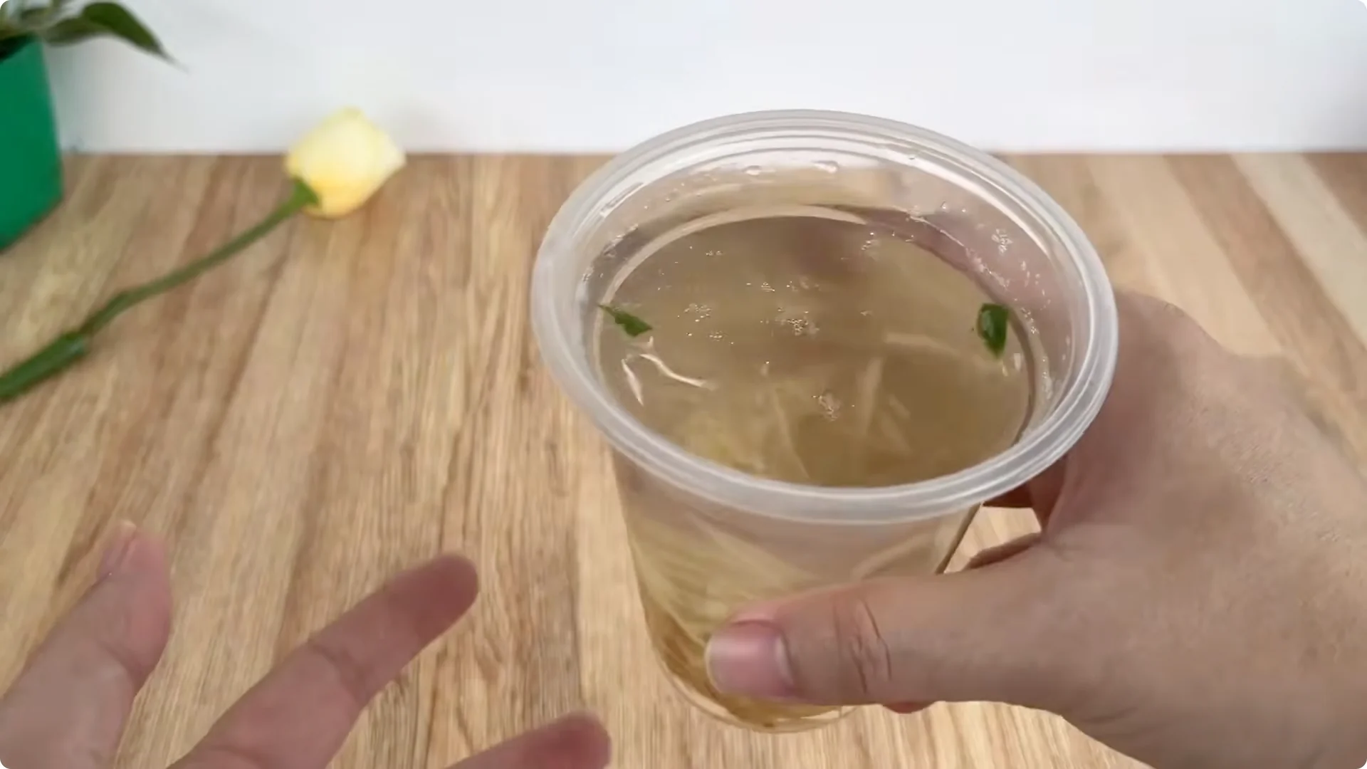 The Simple Secret Behind Propagating Any Rose Variety screenshot 10