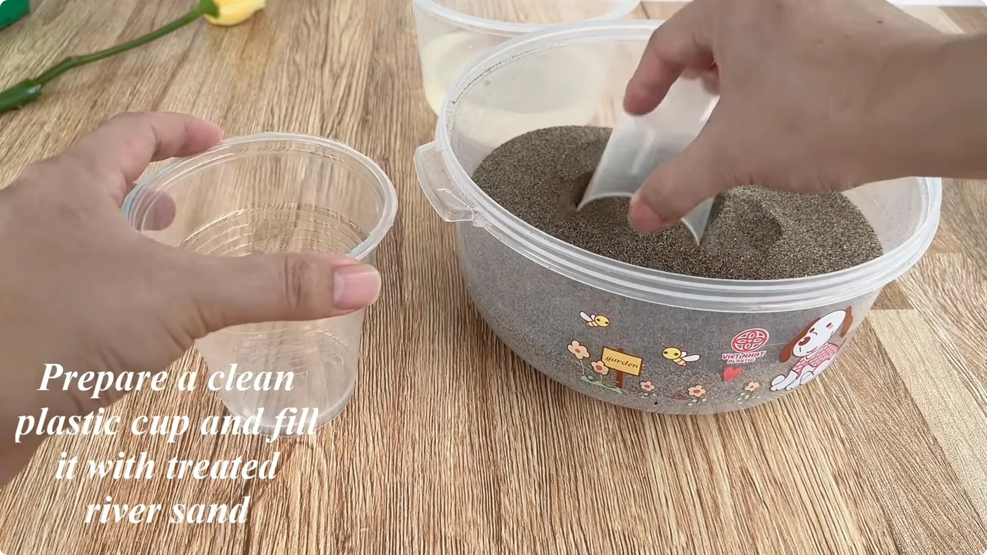 The Simple Secret Behind Propagating Any Rose Variety screenshot 11