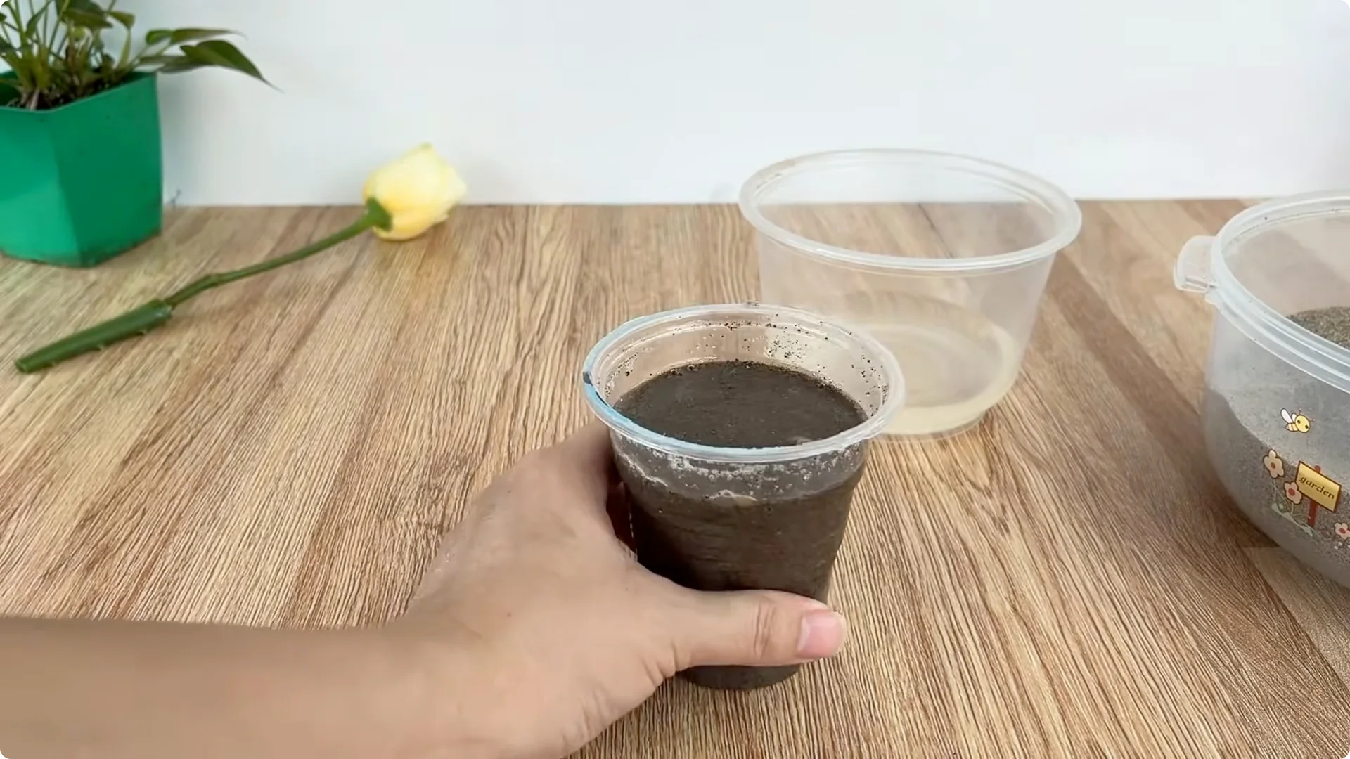 The Simple Secret Behind Propagating Any Rose Variety screenshot 13