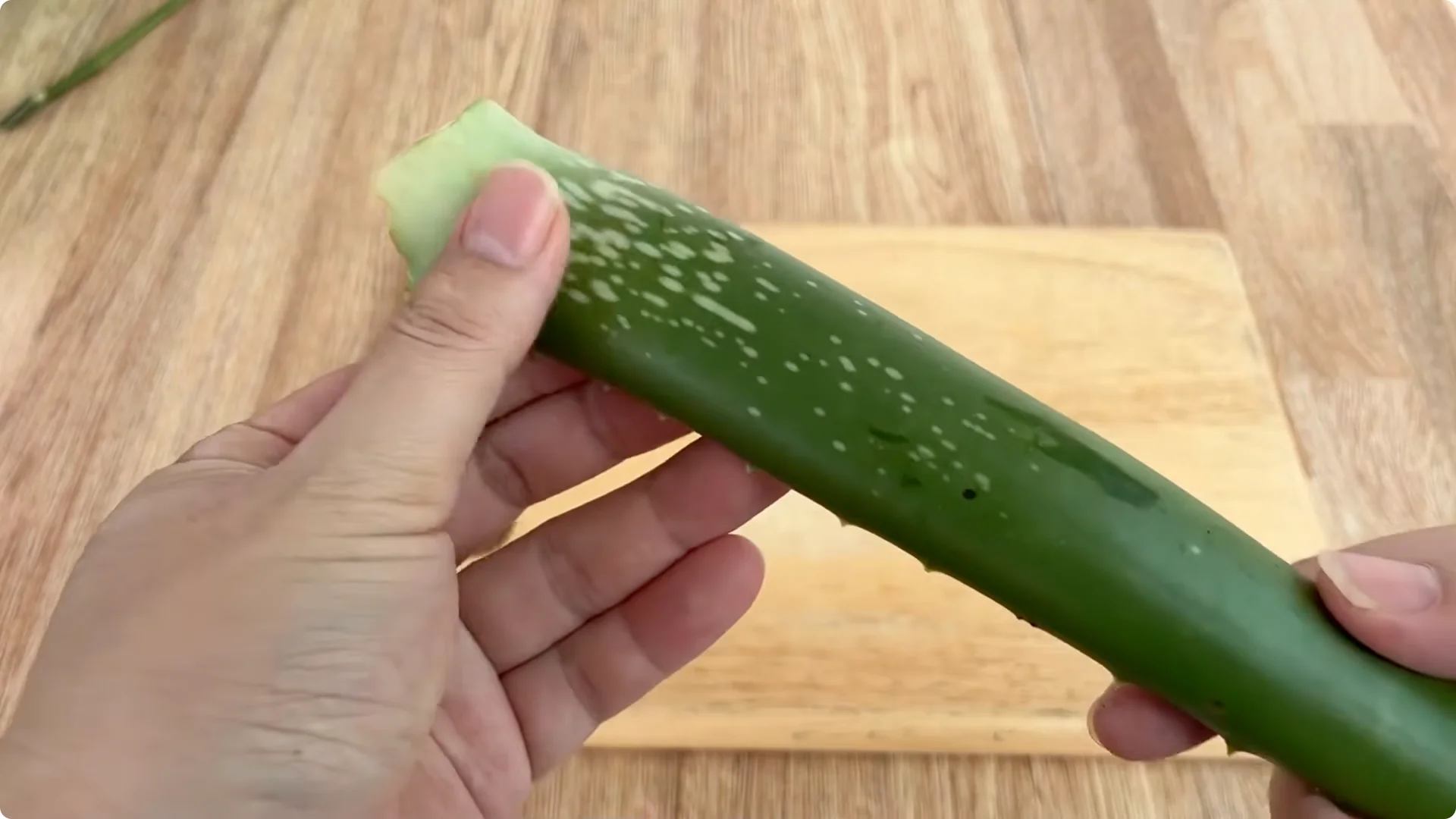 The Simple Secret Behind Propagating Any Rose Variety screenshot 4