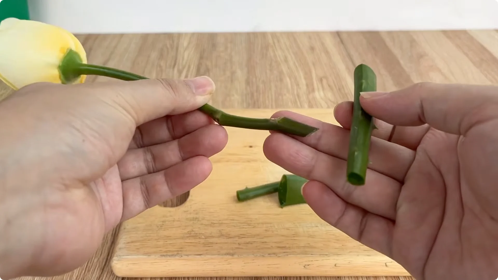 The Simple Secret Behind Propagating Any Rose Variety screenshot 5