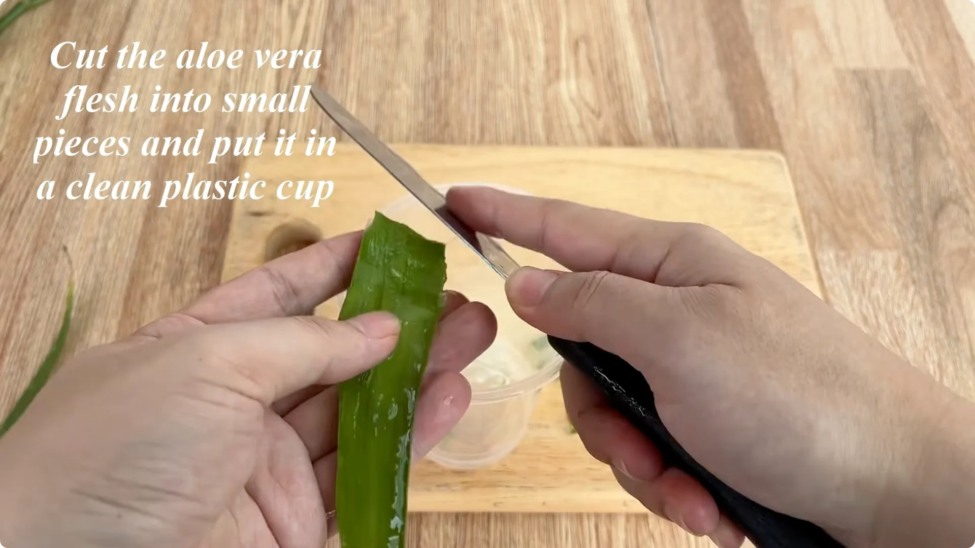 The Simple Secret Behind Propagating Any Rose Variety screenshot 7