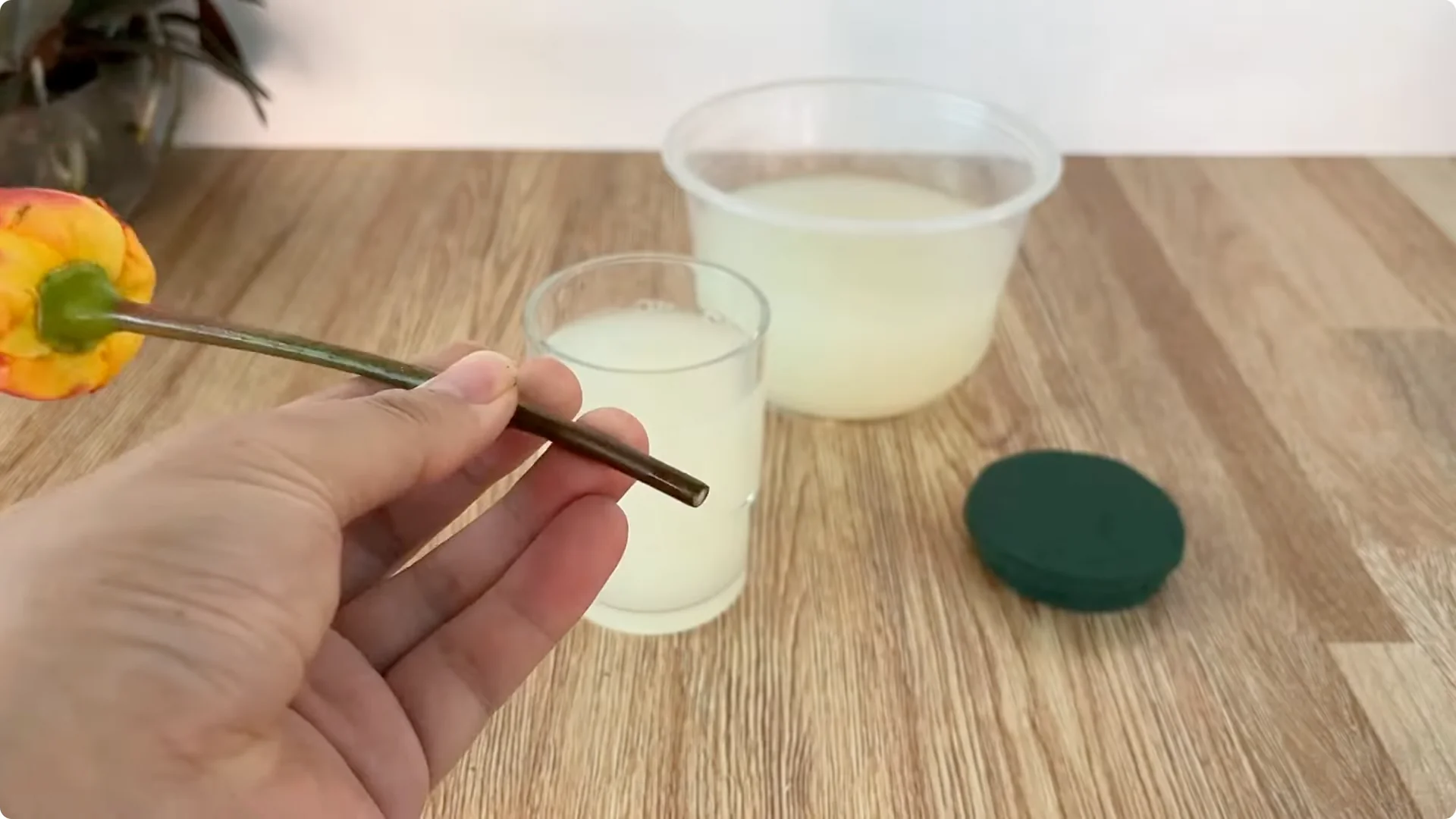 The Simple Trick That Surprised Me When Propagating Roses screenshot 4