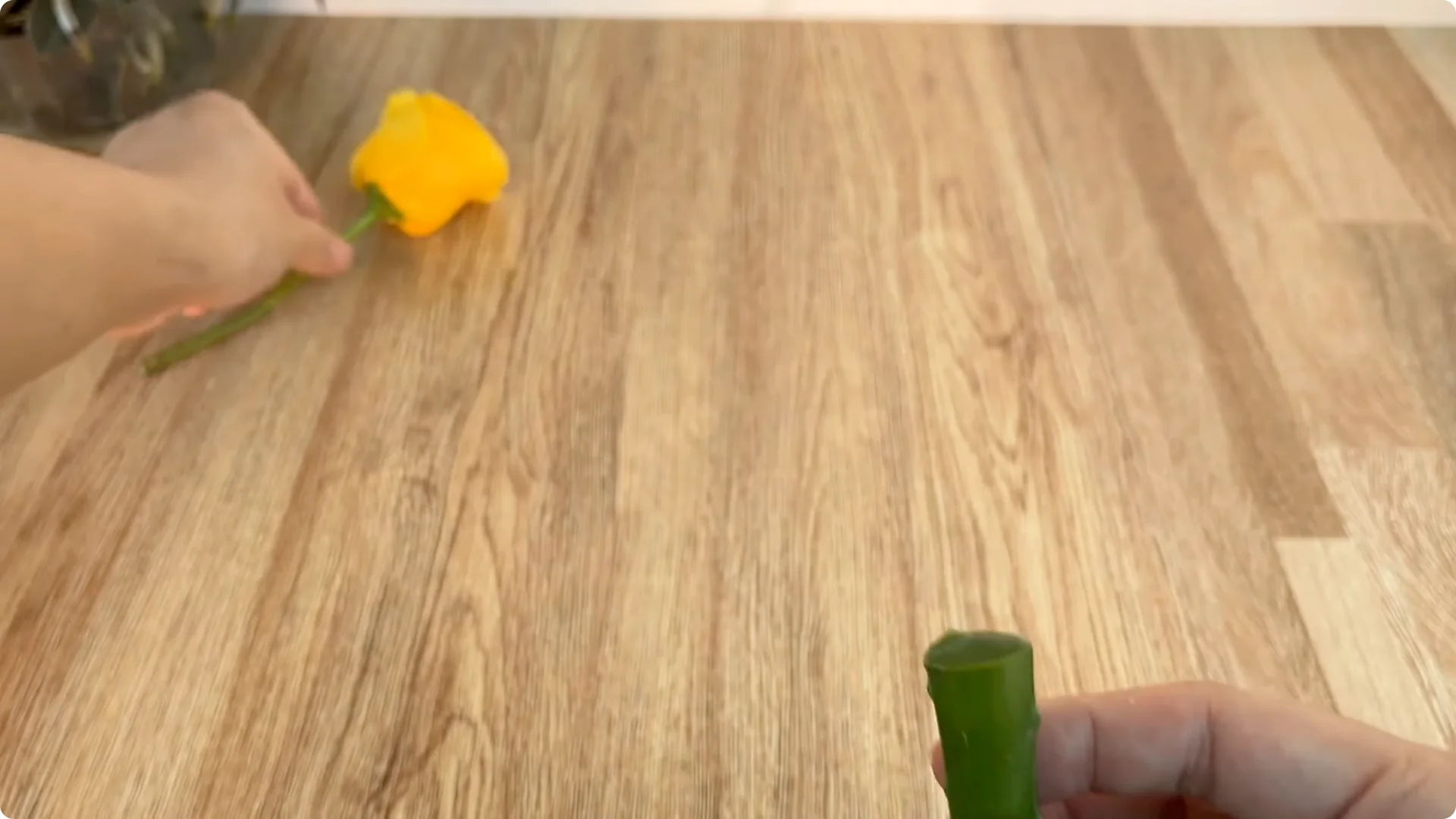 The Surprising Aloe Vera Trick Most Rose Growers Miss screenshot 2