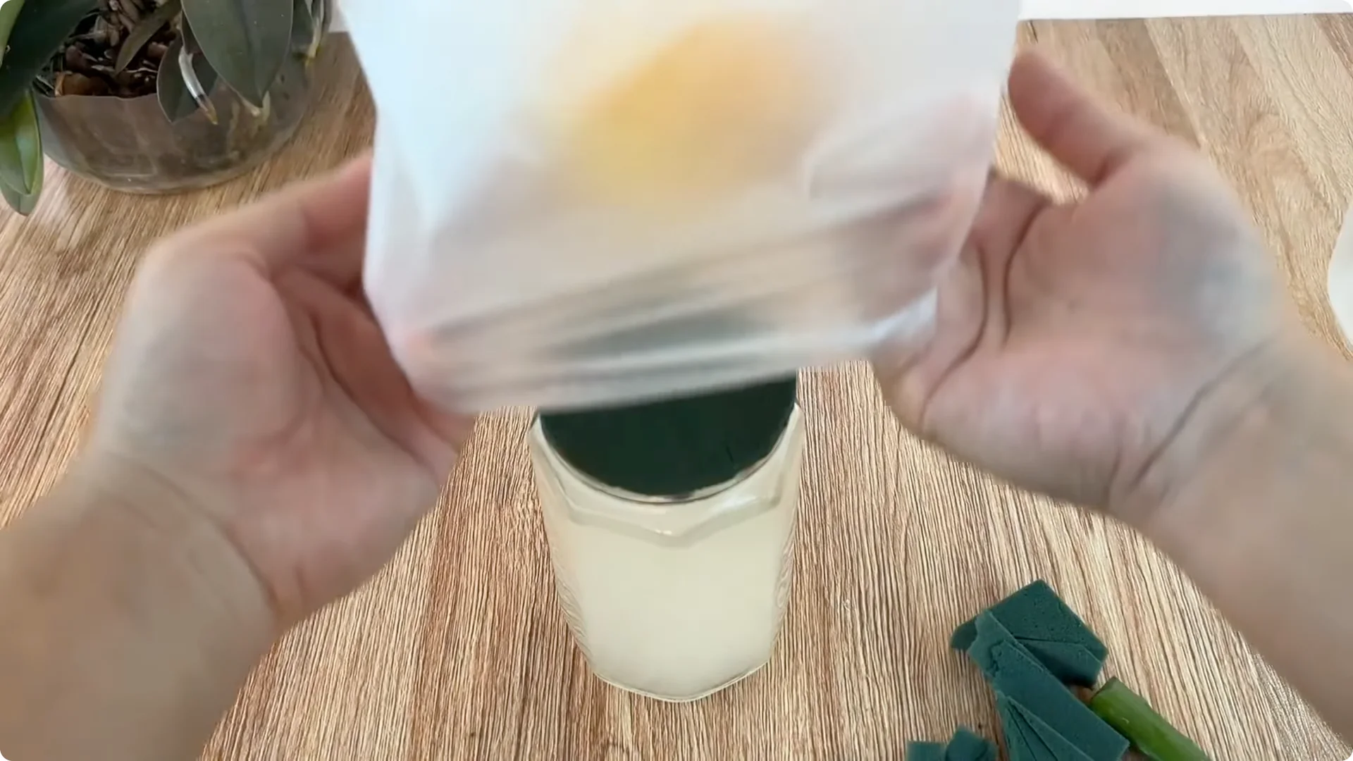 The Surprising Aloe Vera Trick Most Rose Growers Miss screenshot 5