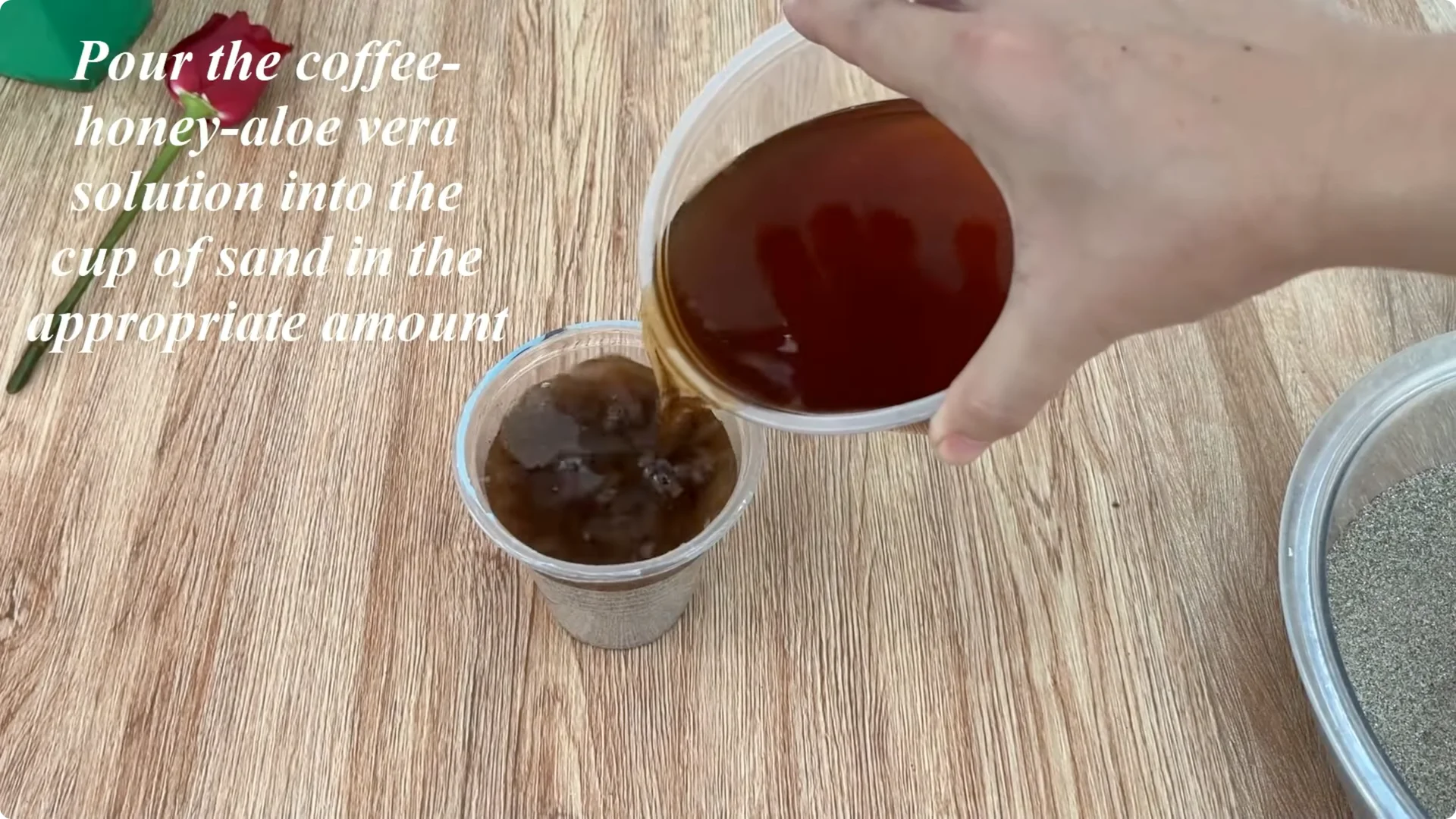 The Surprising Method to Propagate Roses Easily screenshot 5